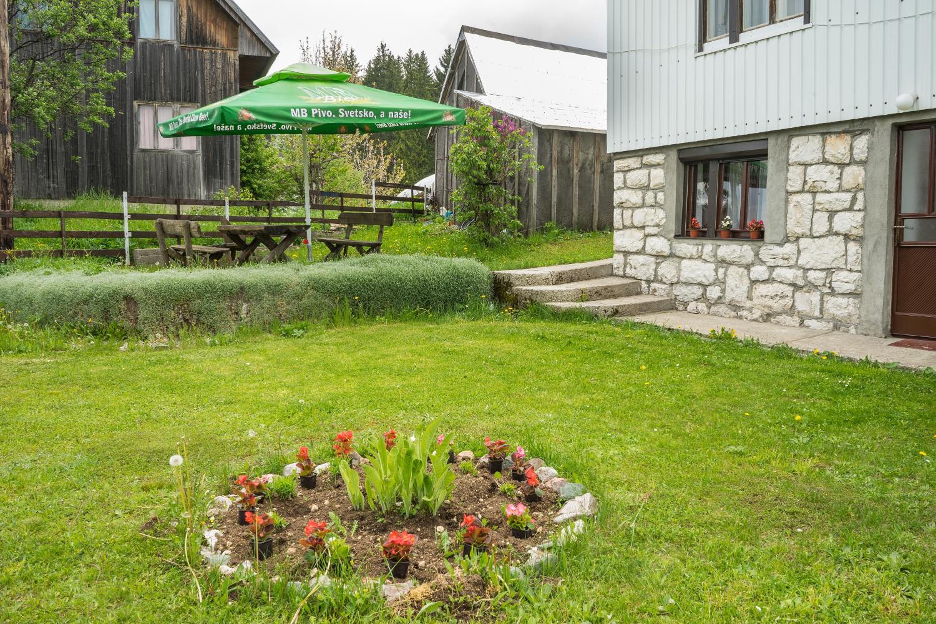 Photo 19