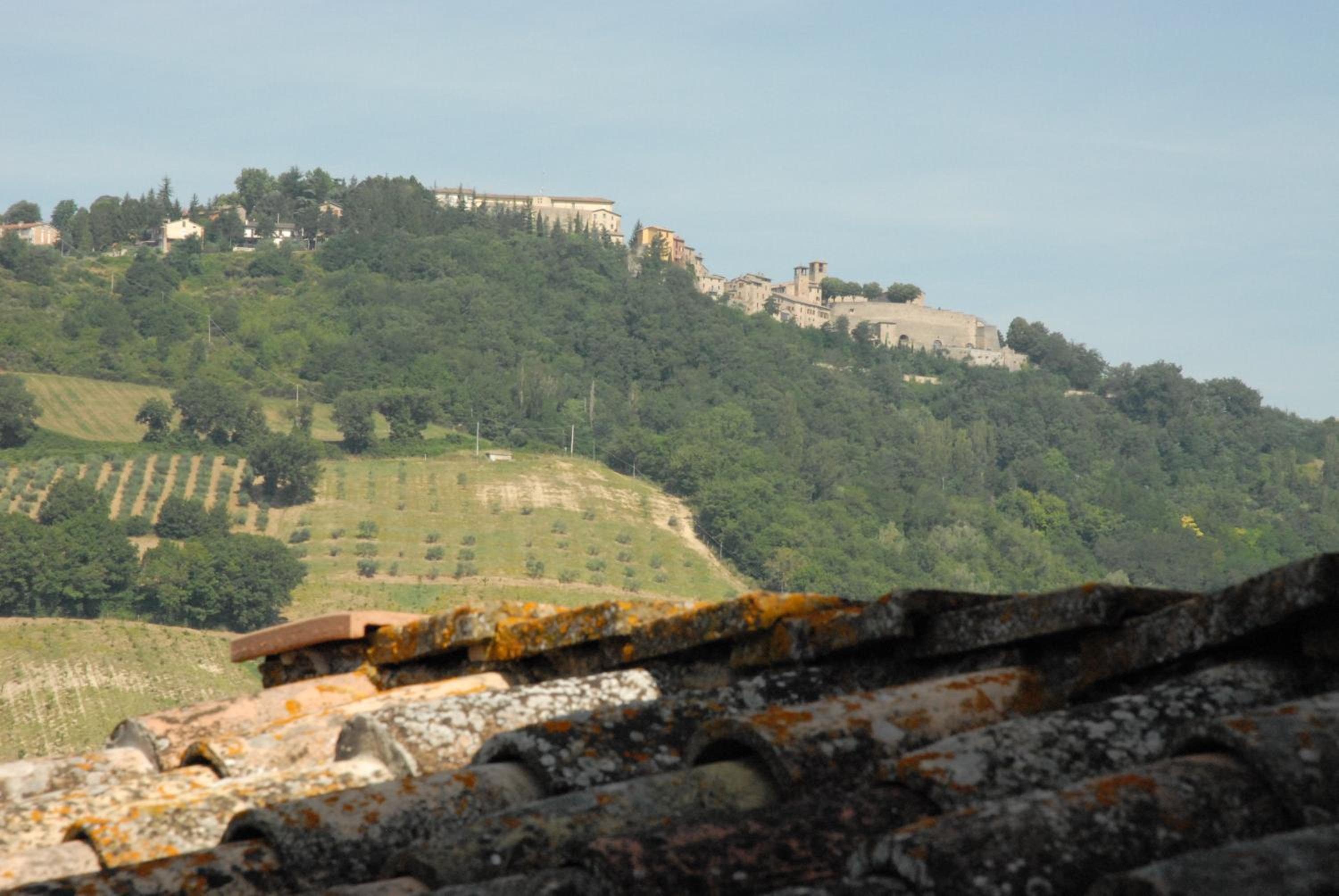 La Carpinella
