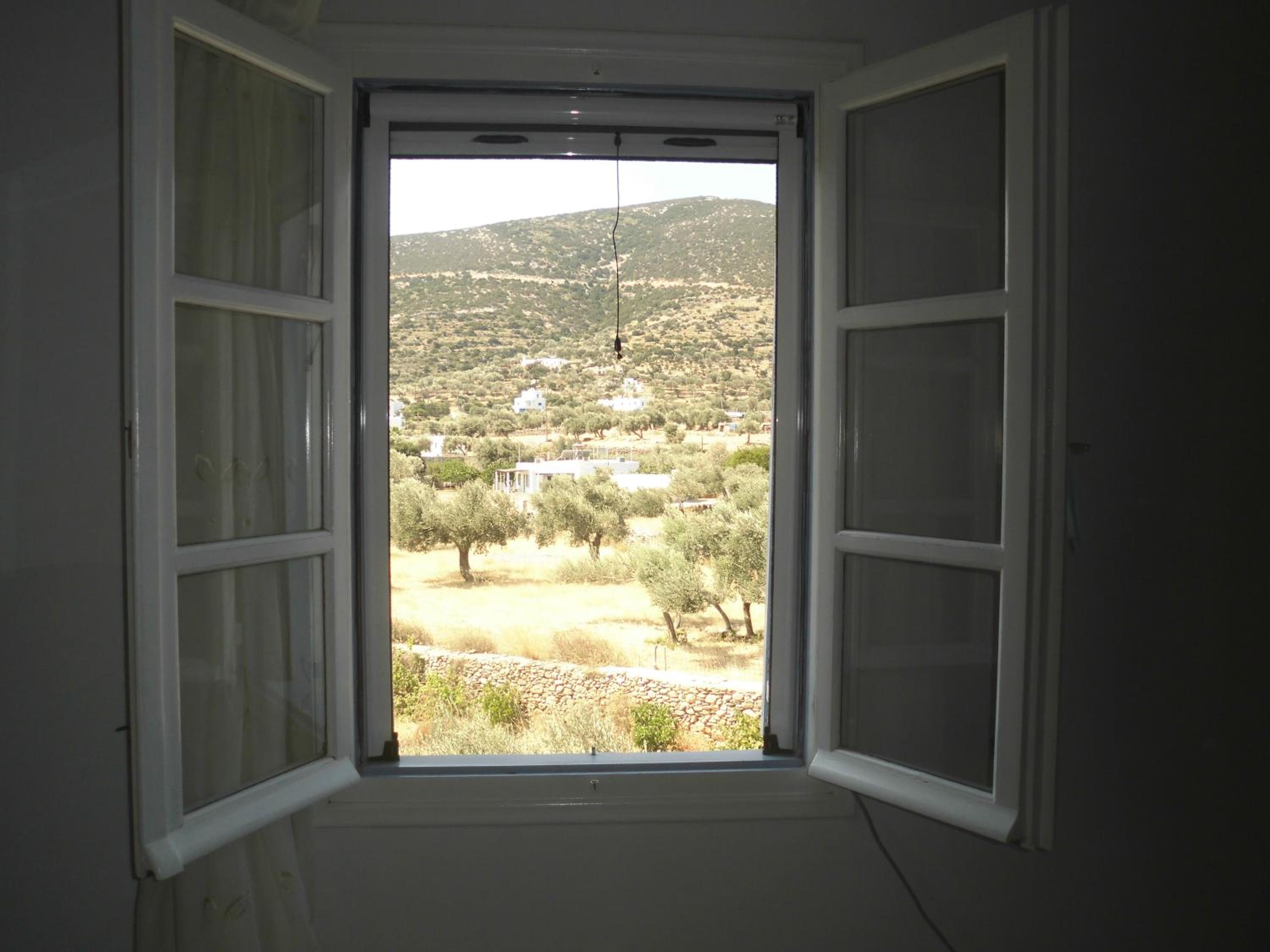 Photo 45