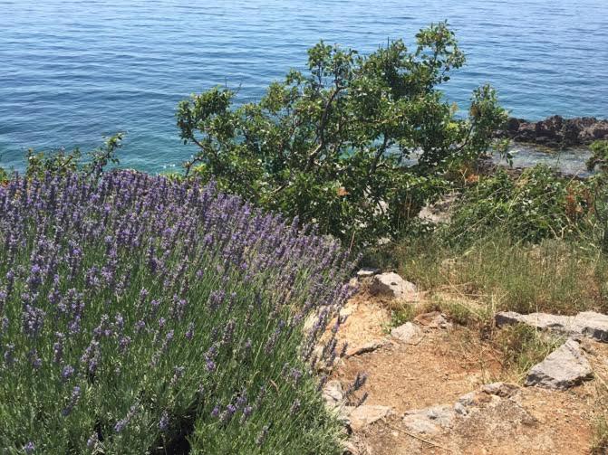 Studio Bozica Senj view 3