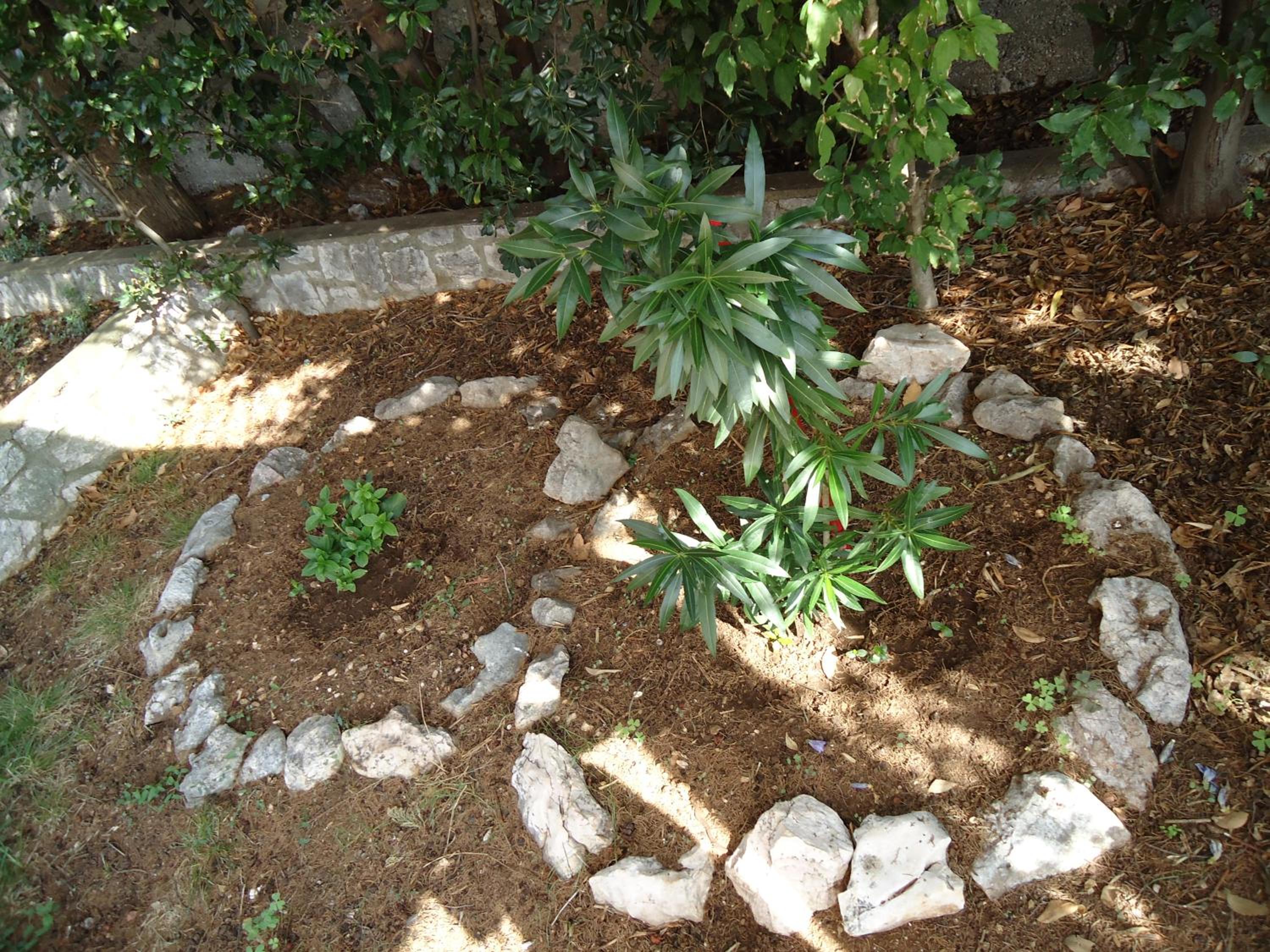 Photo 13