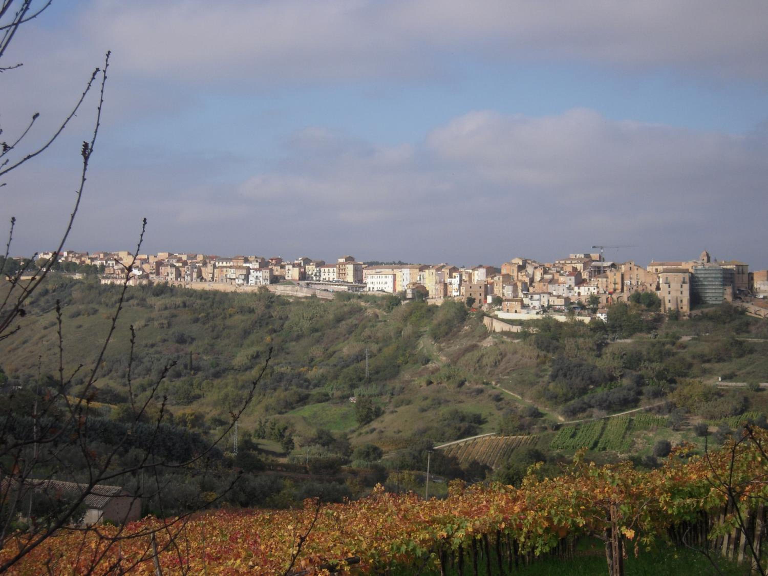 Photo 40