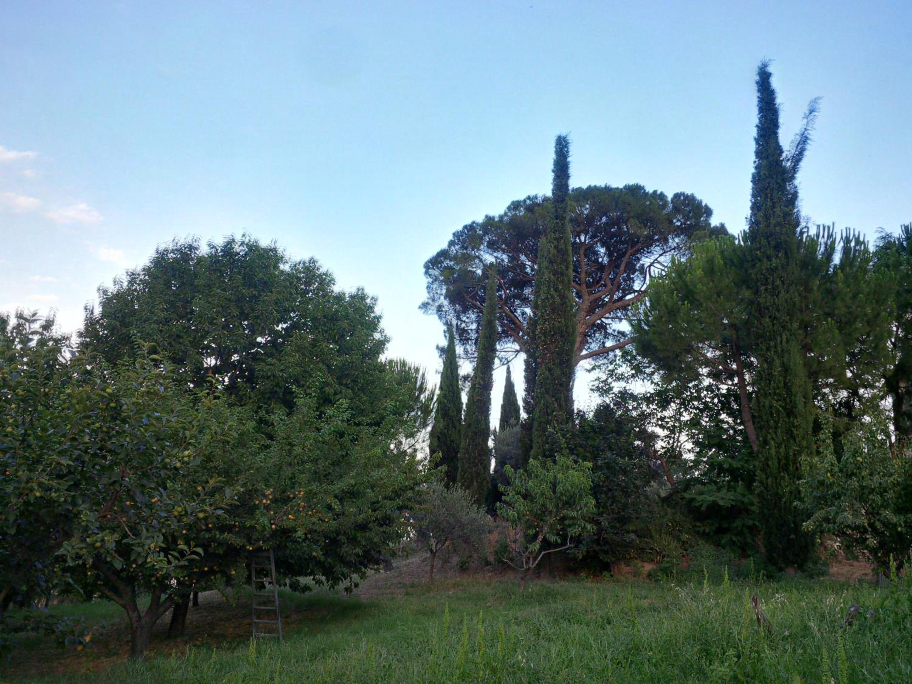 Photo 34