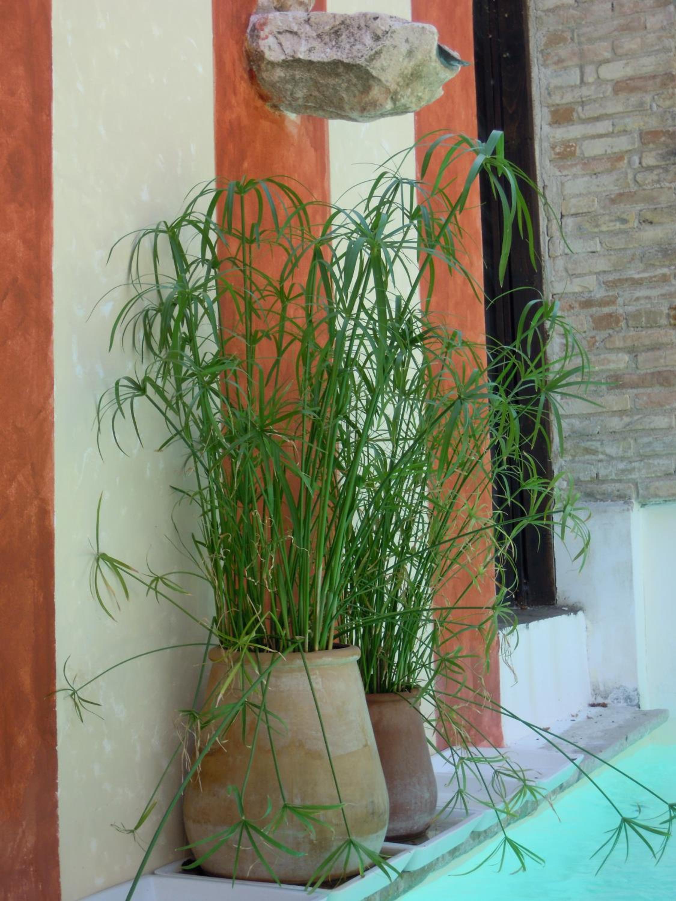 Photo 37
