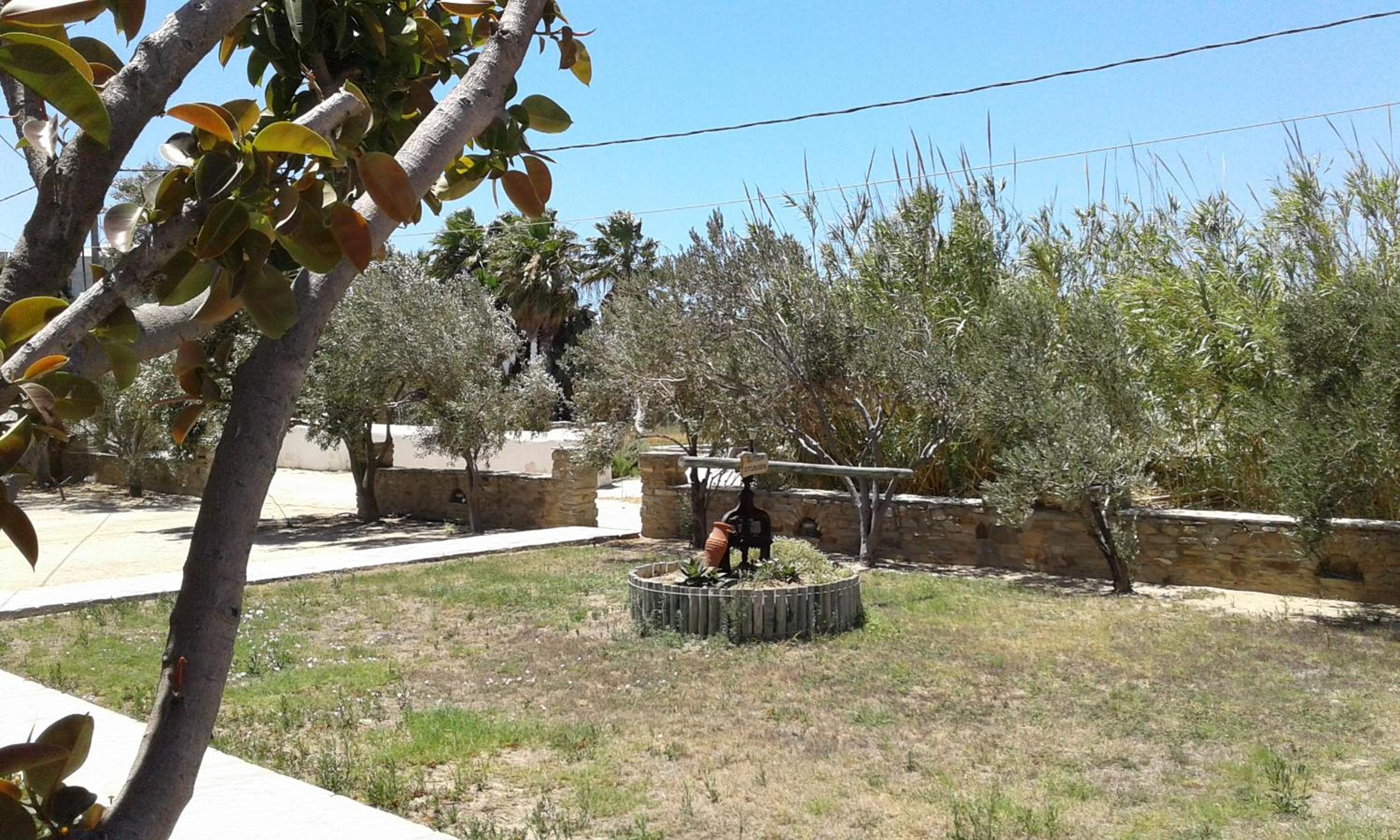 Photo 32
