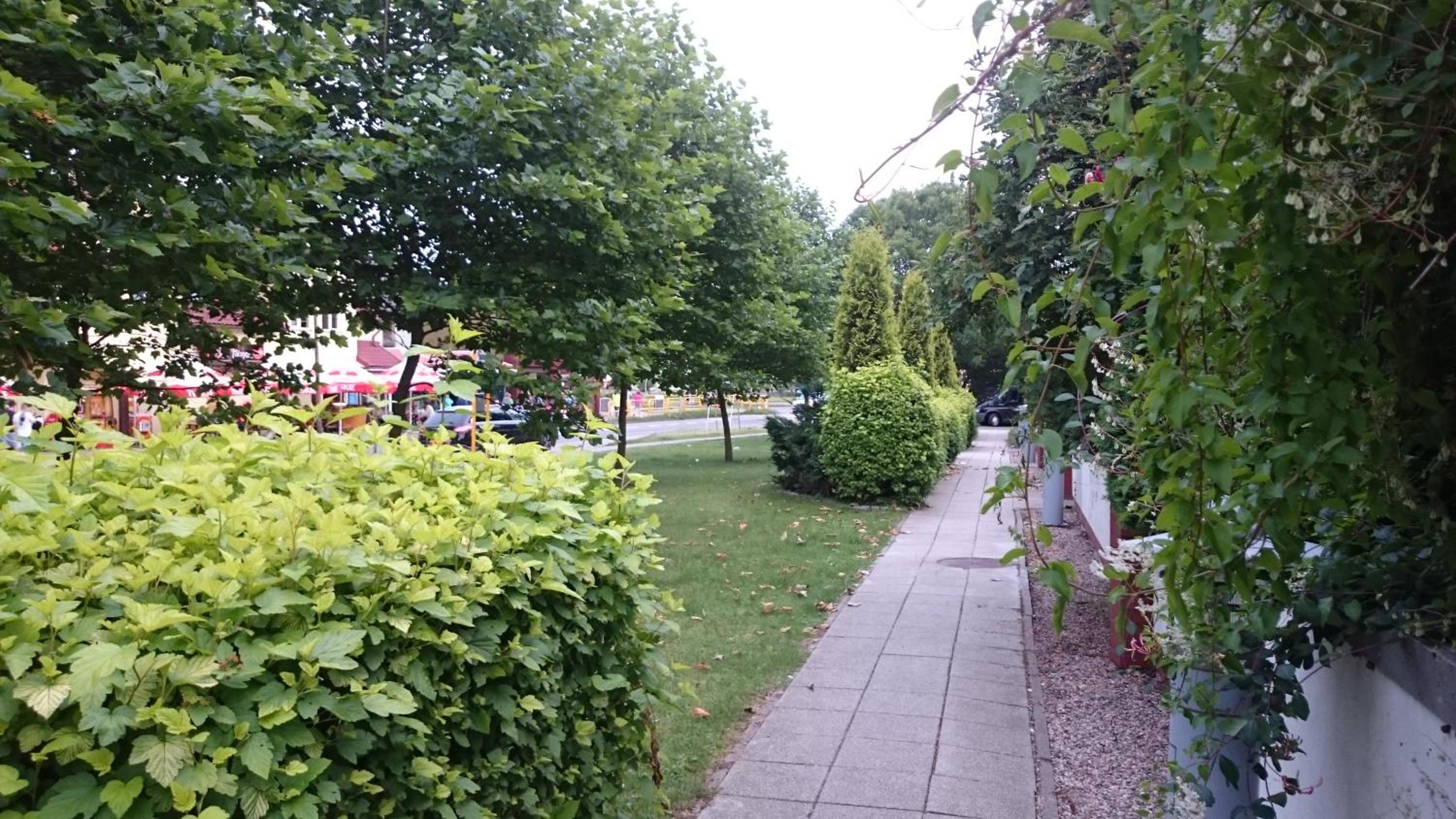 Apartament z Ogrodem Zielone Tarasy view 5