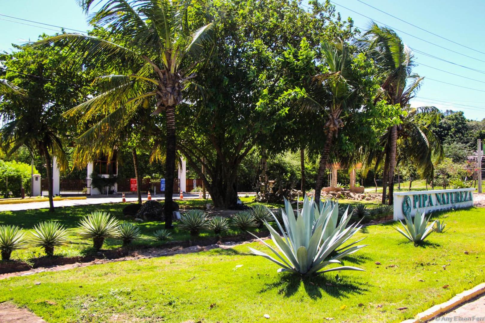 Pipa Casa Peixoto (Condomínio Pipa Natureza)