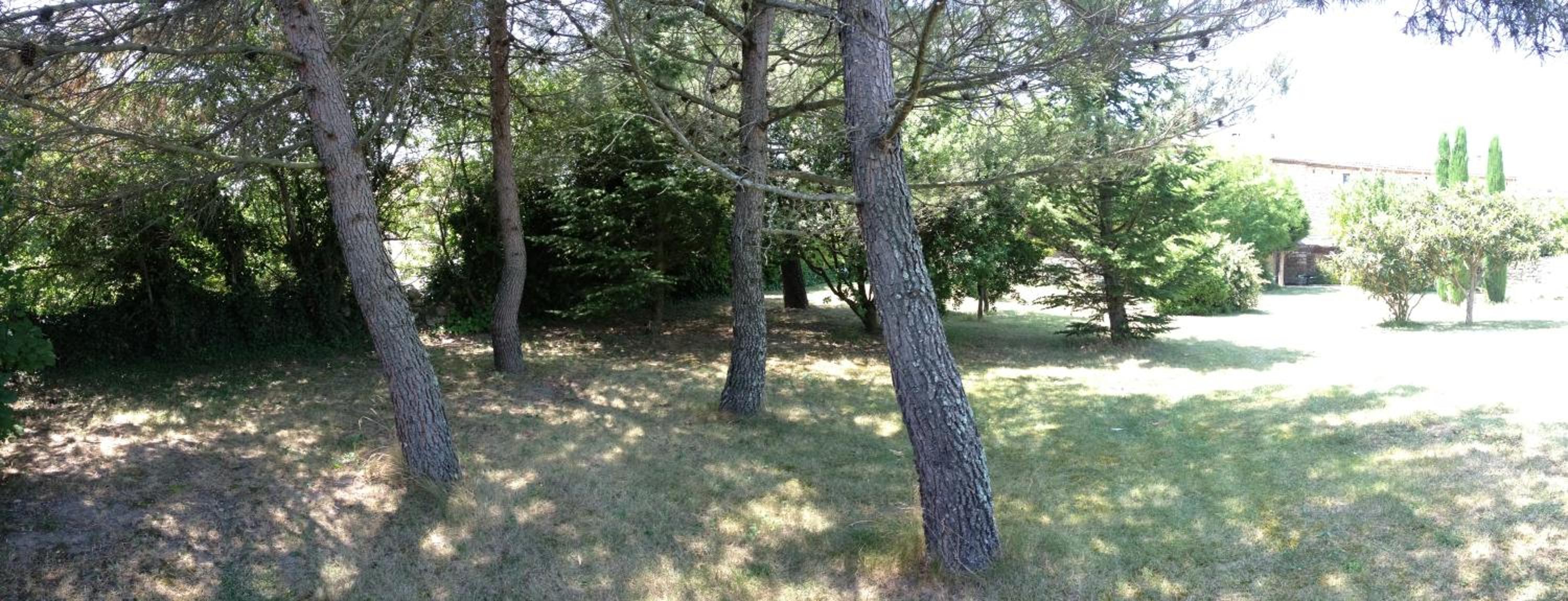 Photo 47