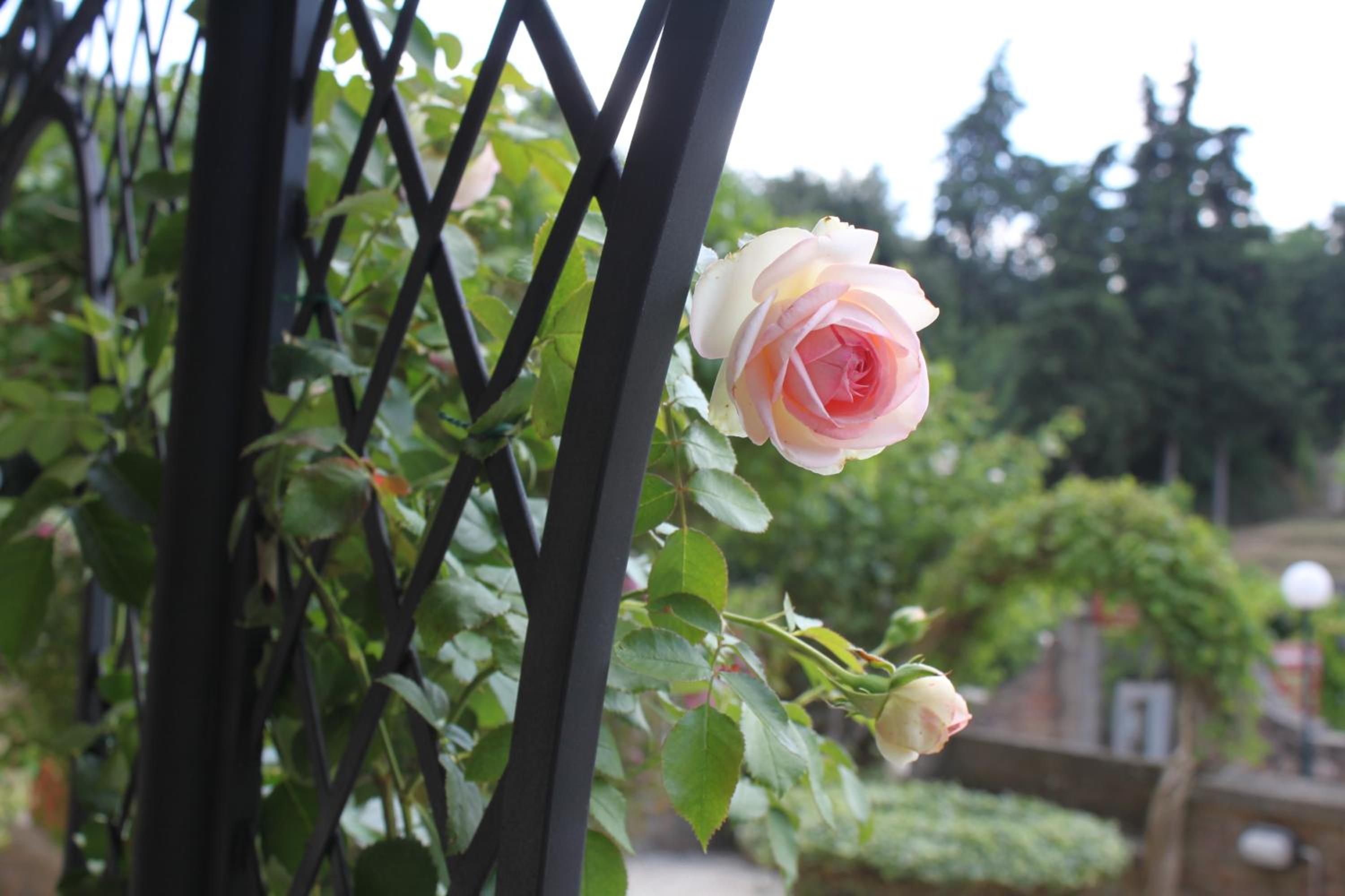 Relais Mastro Cinghiale