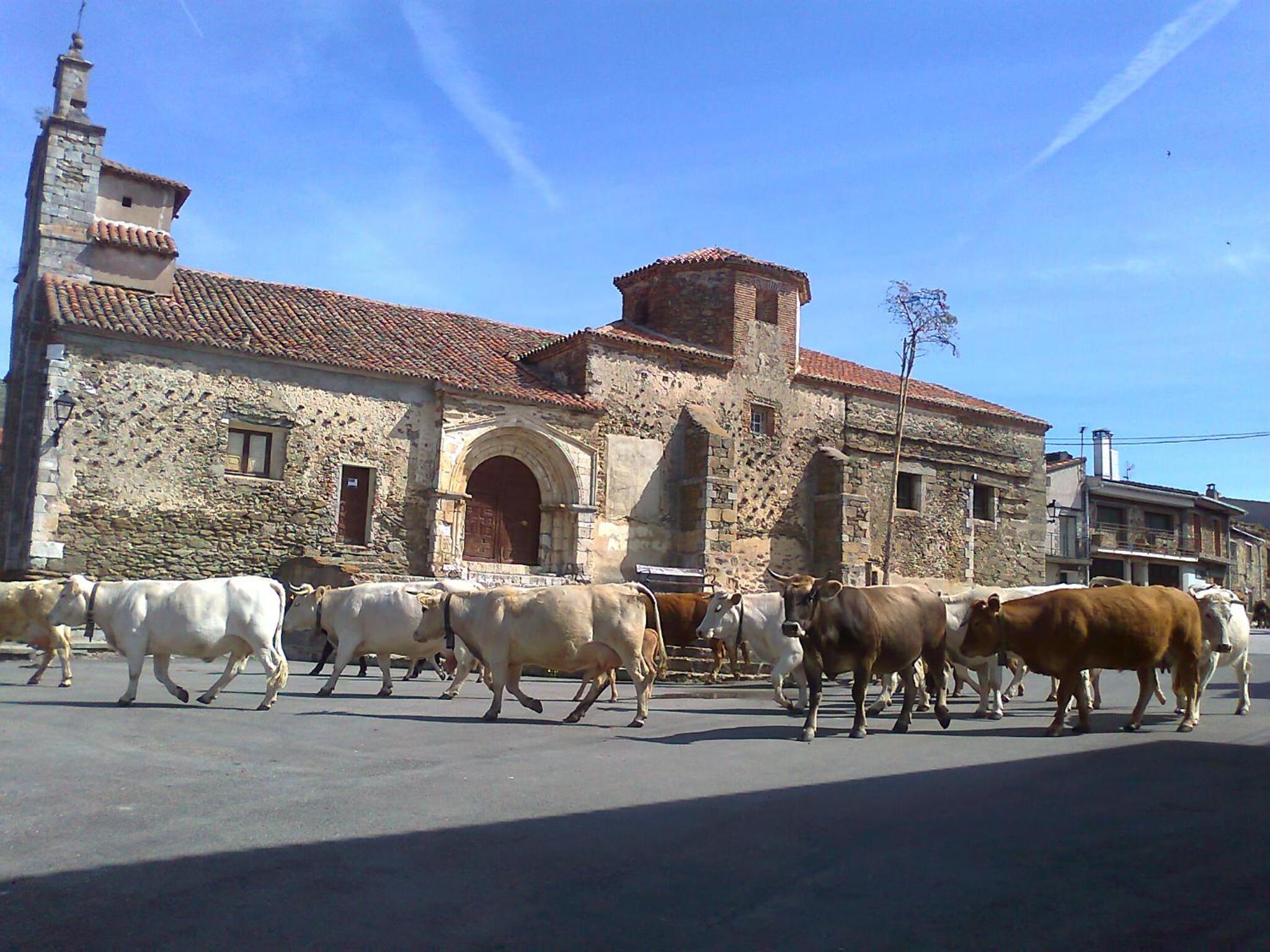 Casa Rural Pájaro Bobo