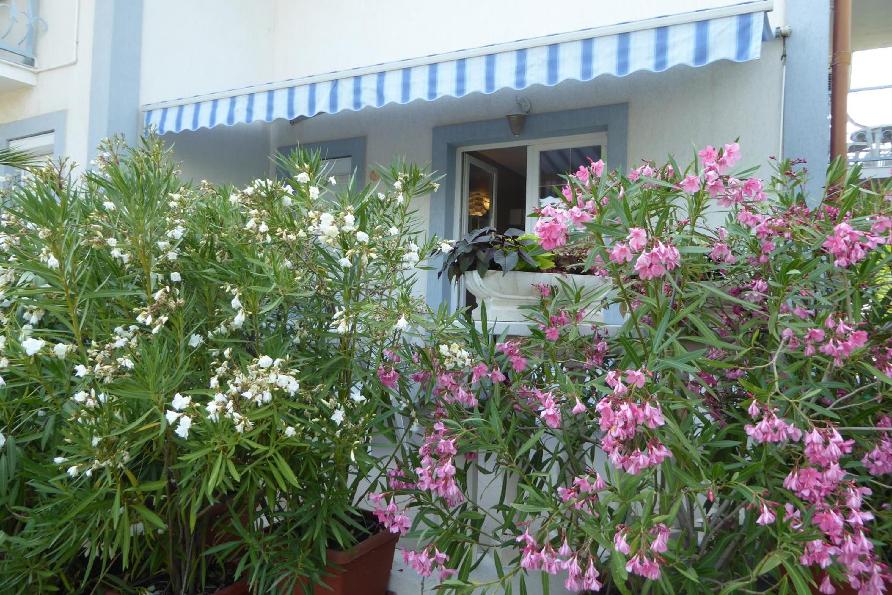 Hollik Apartmanház