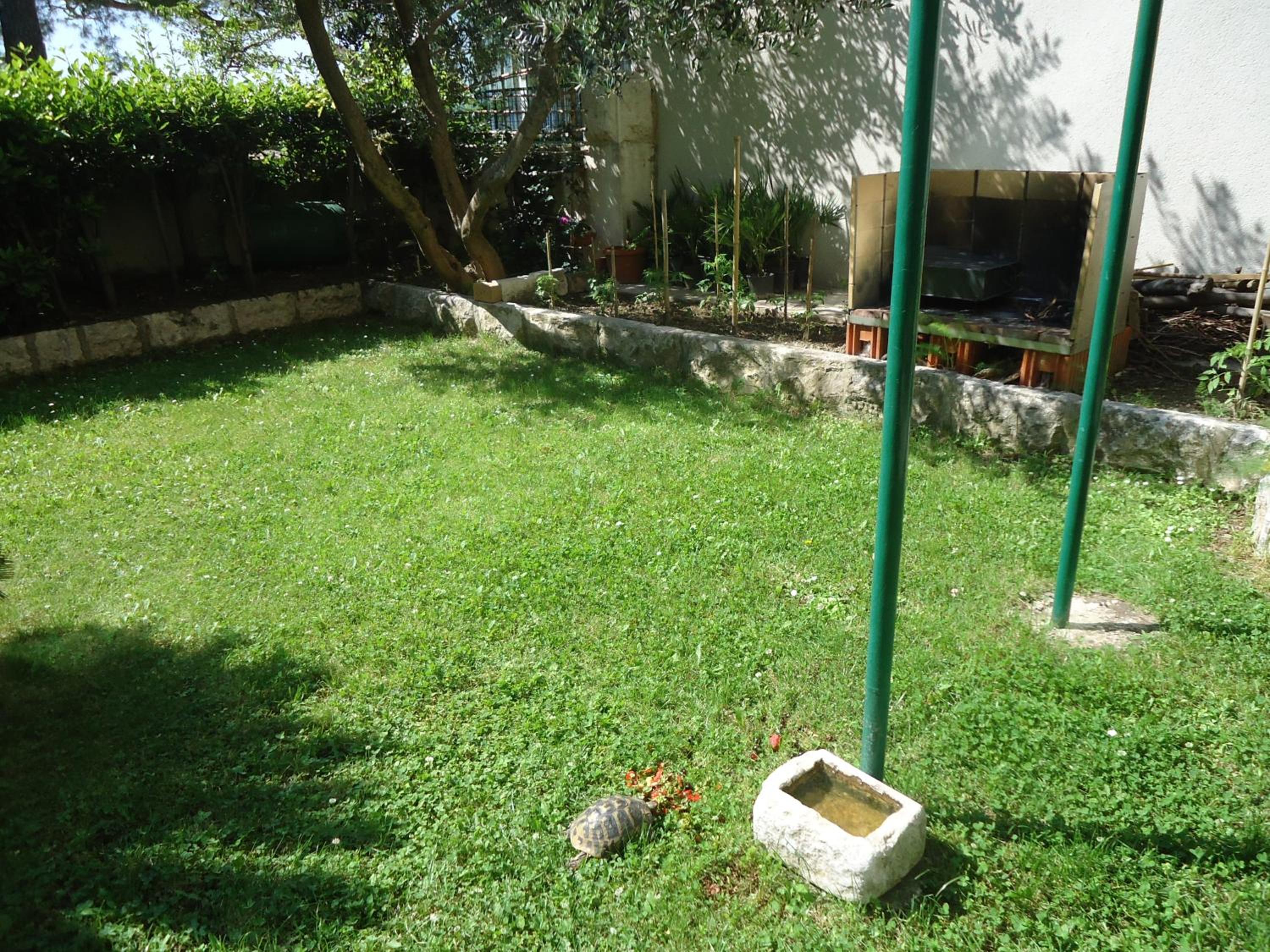 Photo 22