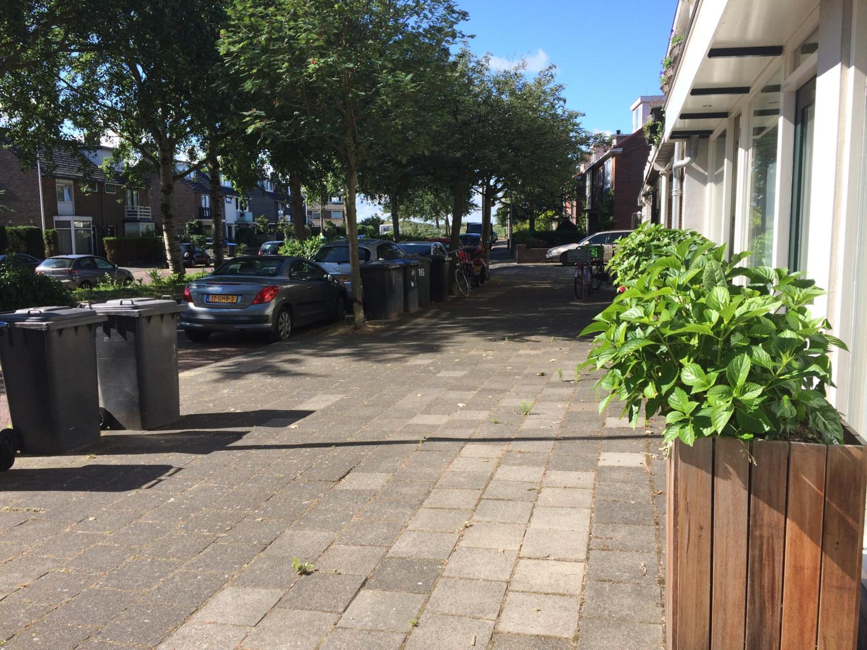 Photo 15
