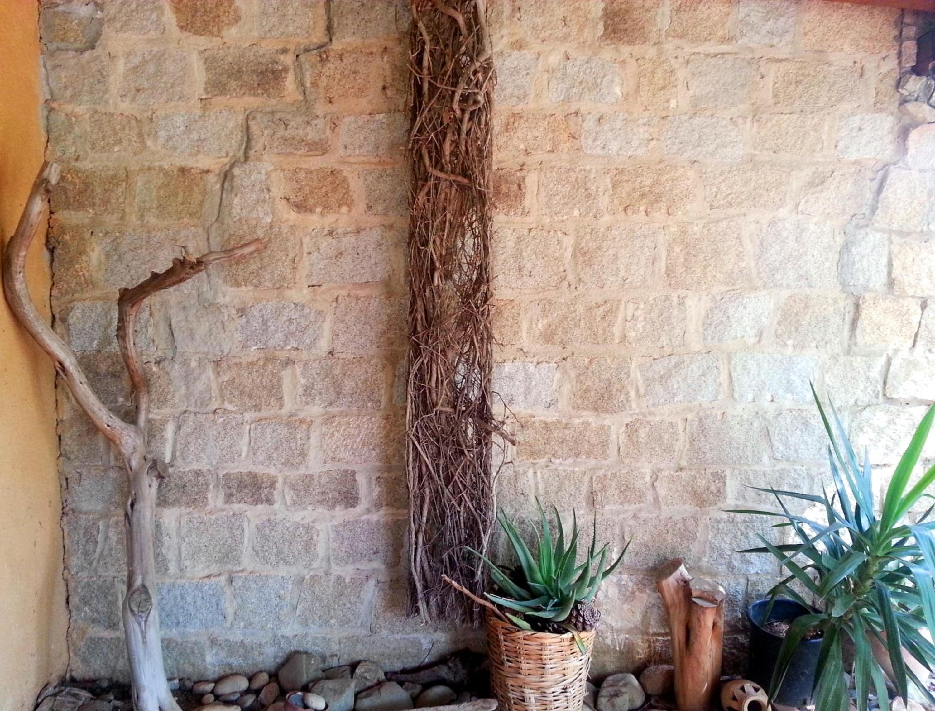 Mediterranean Garden Holiday Home view 5