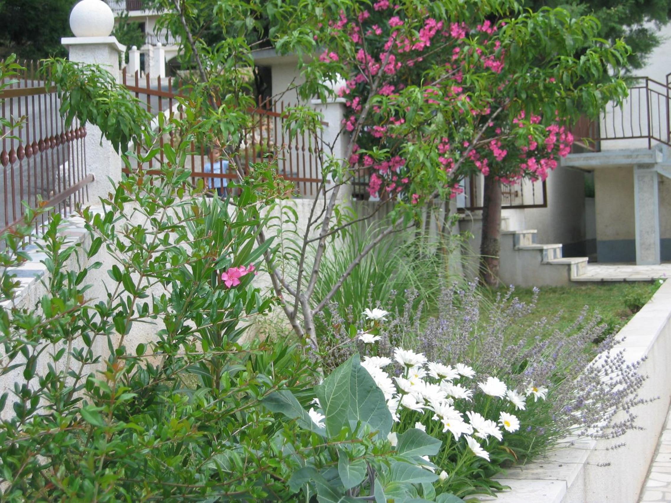 Photo 29