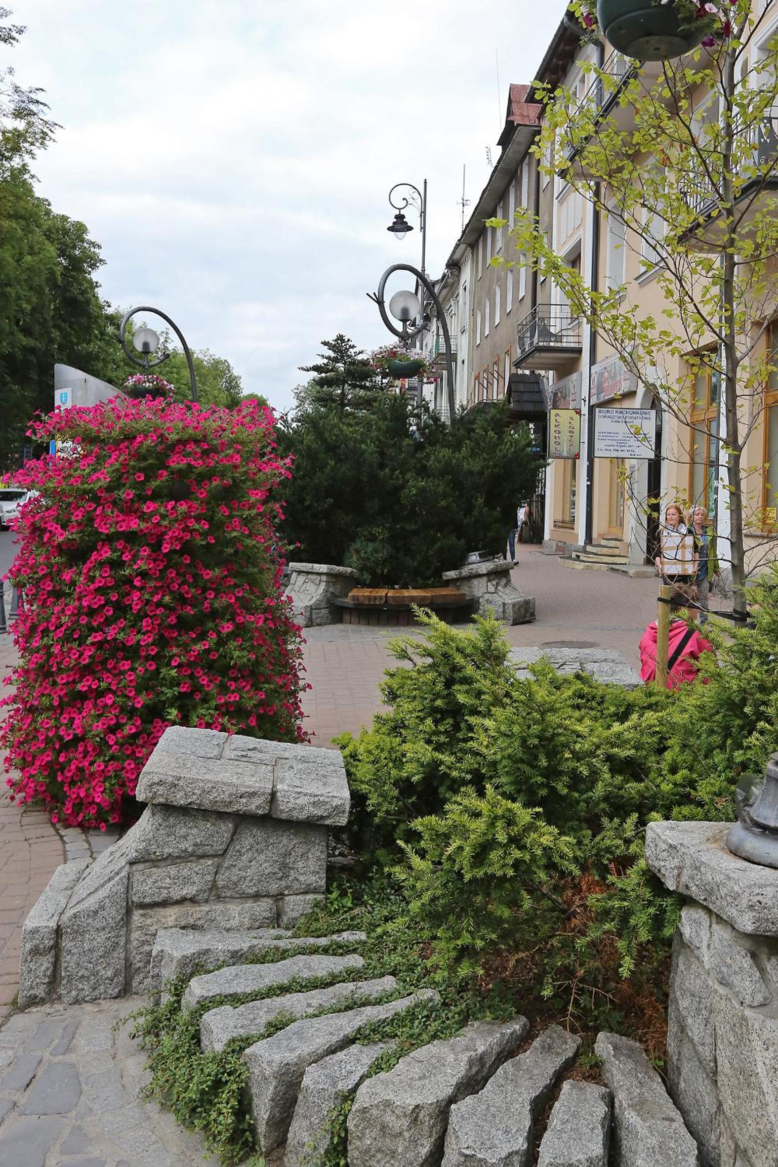 Apartament Giewont Krupowki