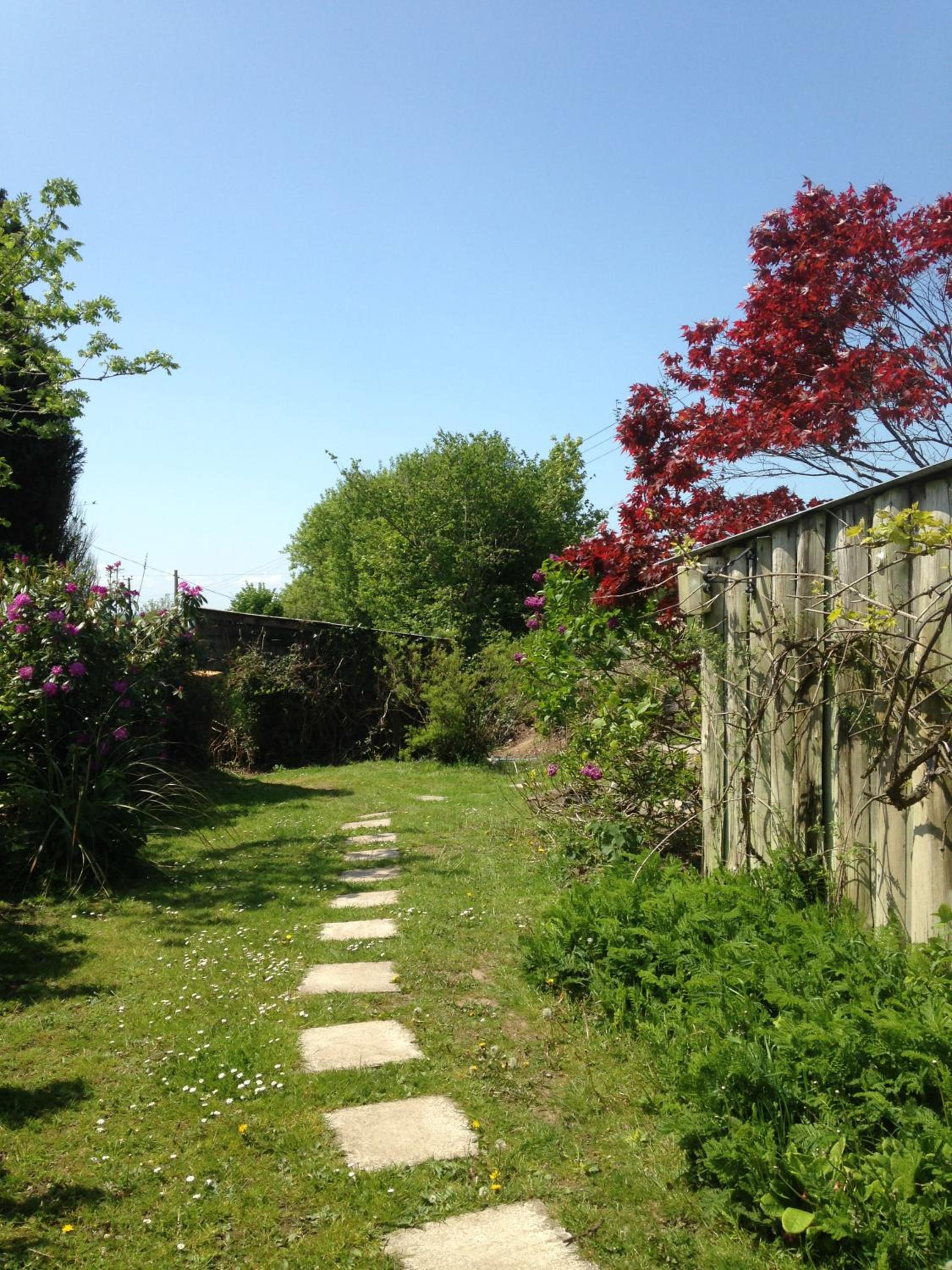 Photo 11