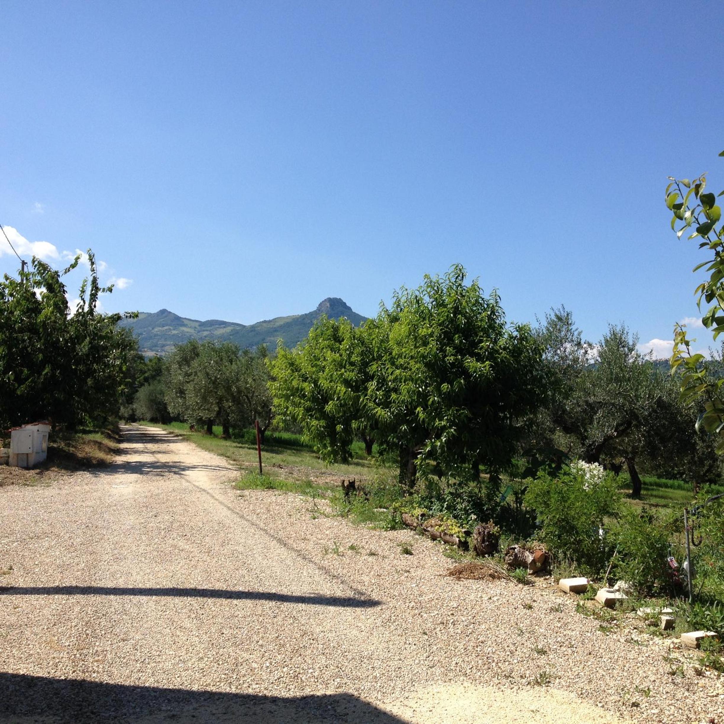 Photo 47