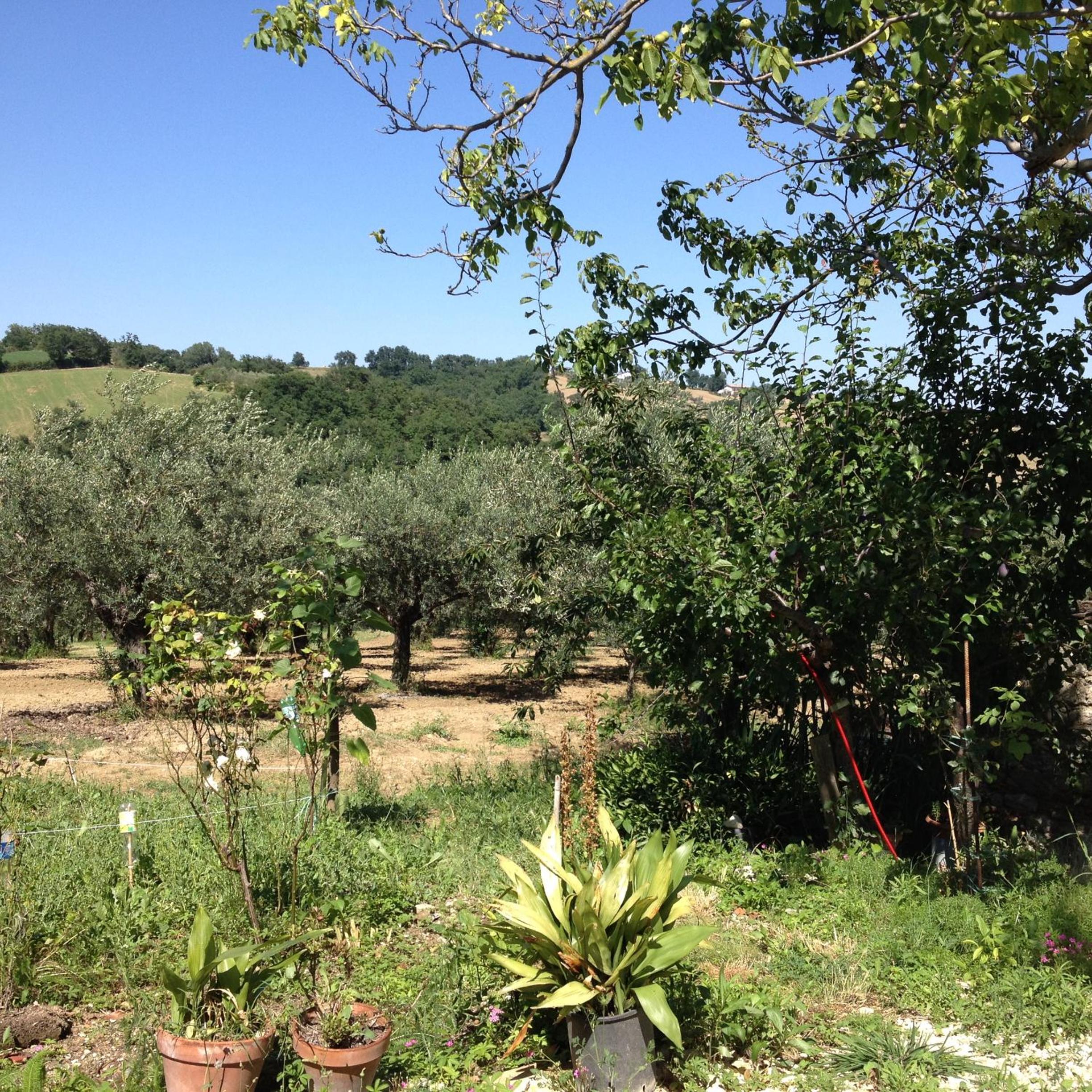 Photo 46