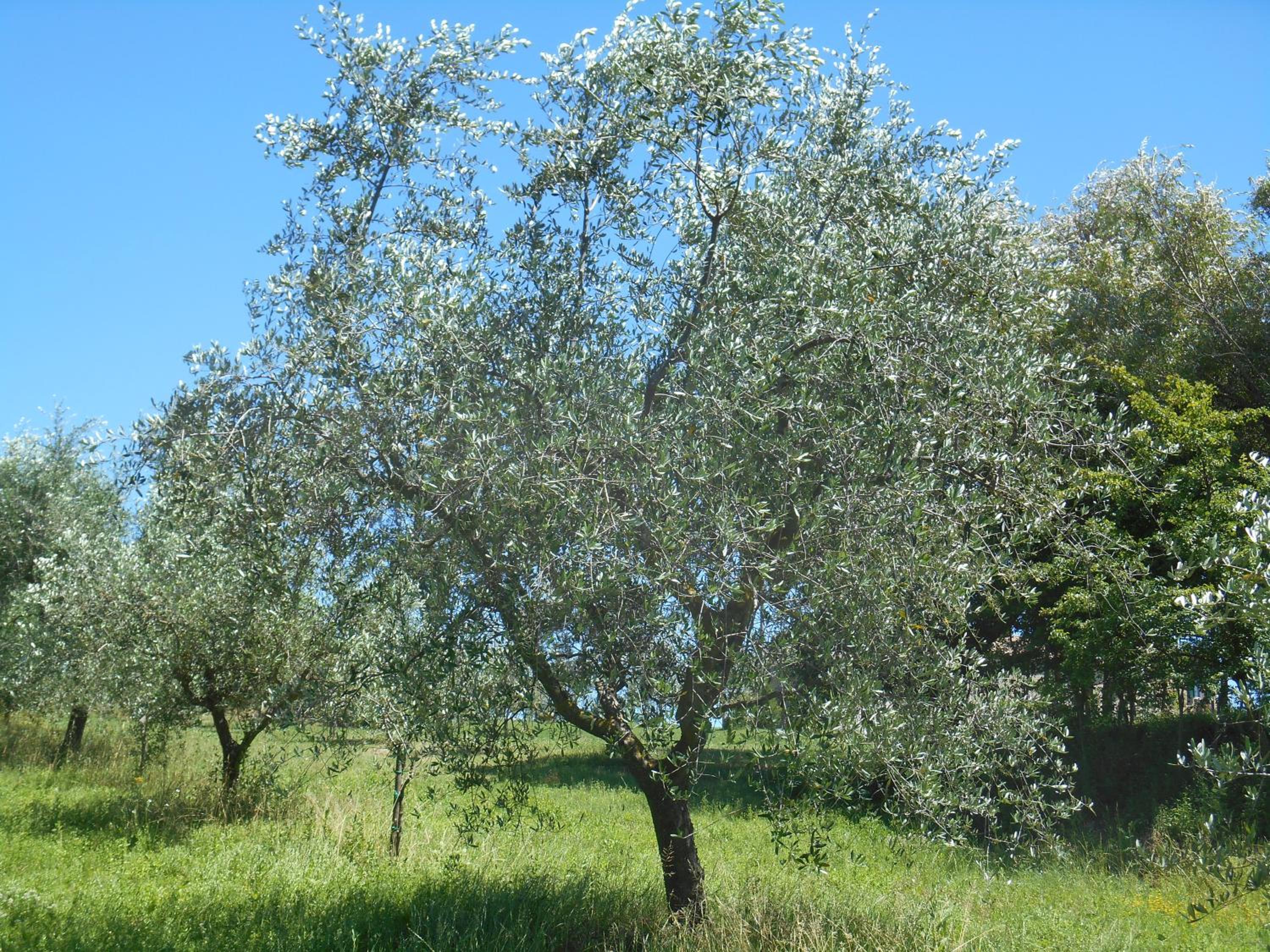 Photo 26