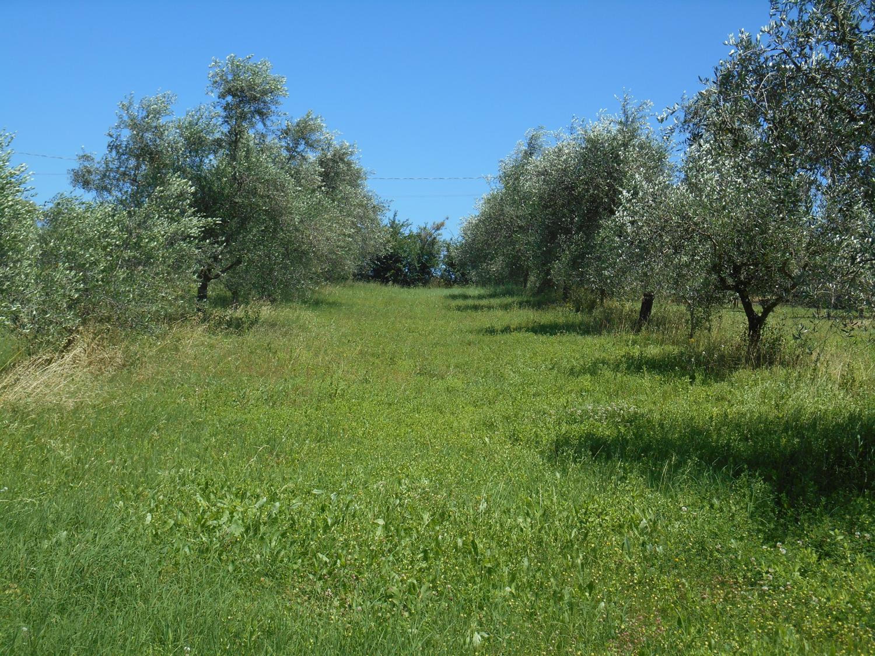 Photo 27