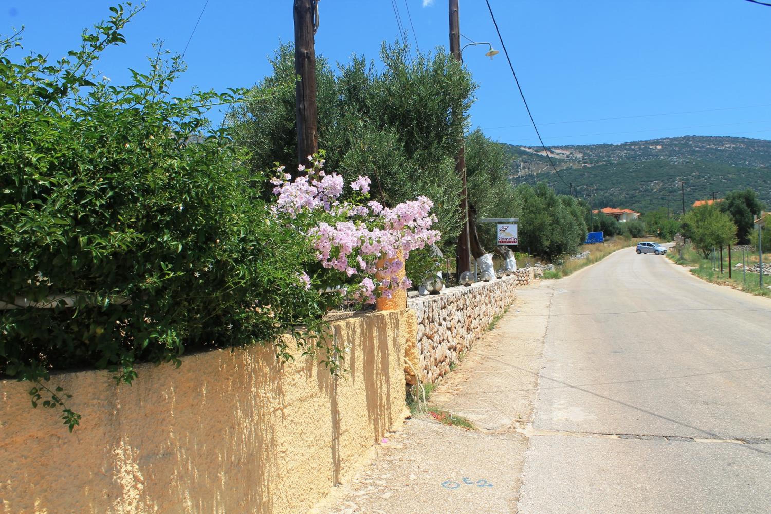 Stamatia Studios