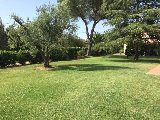 Agriturismo Il Puntoncino