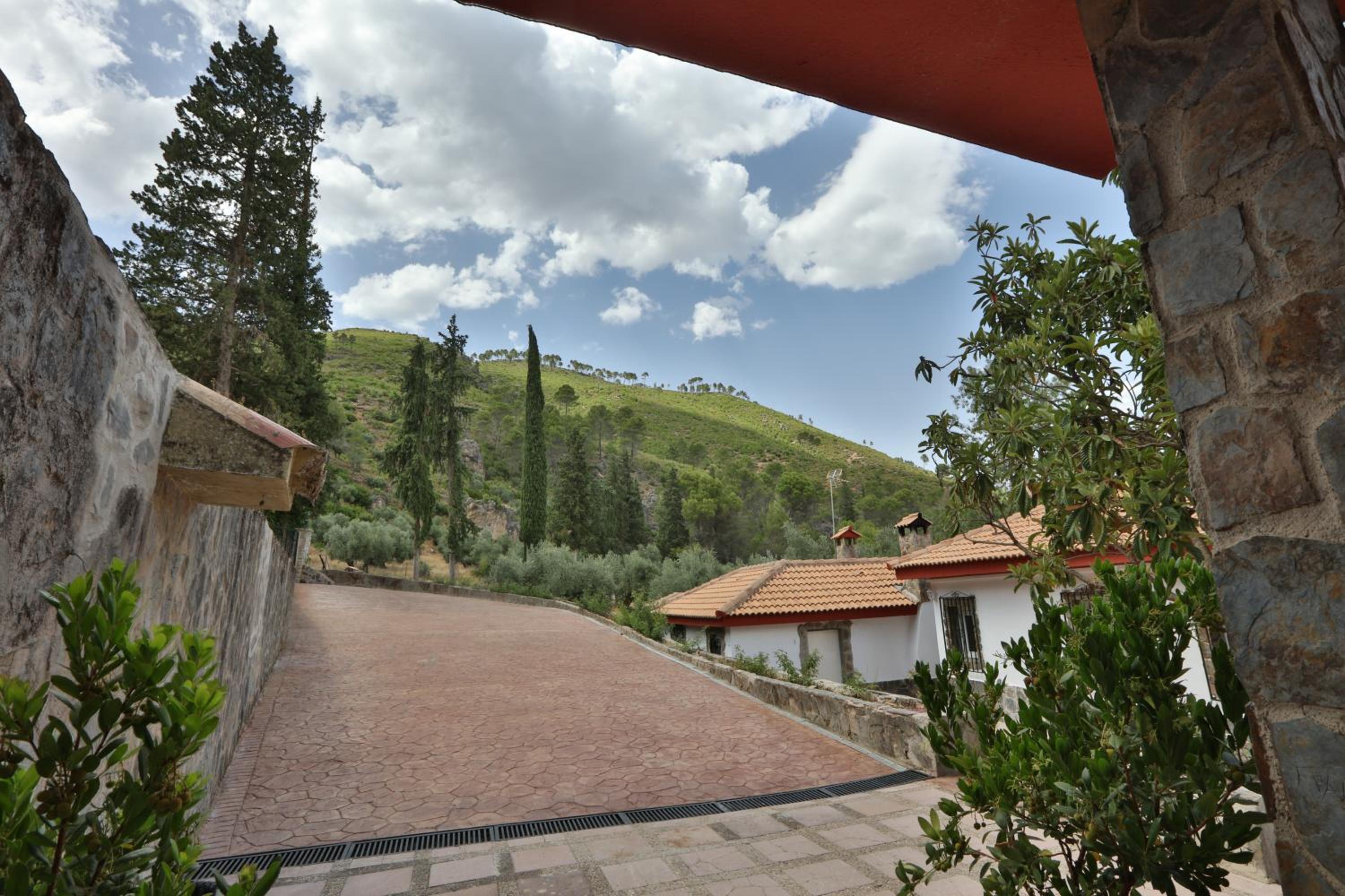 Photo 25