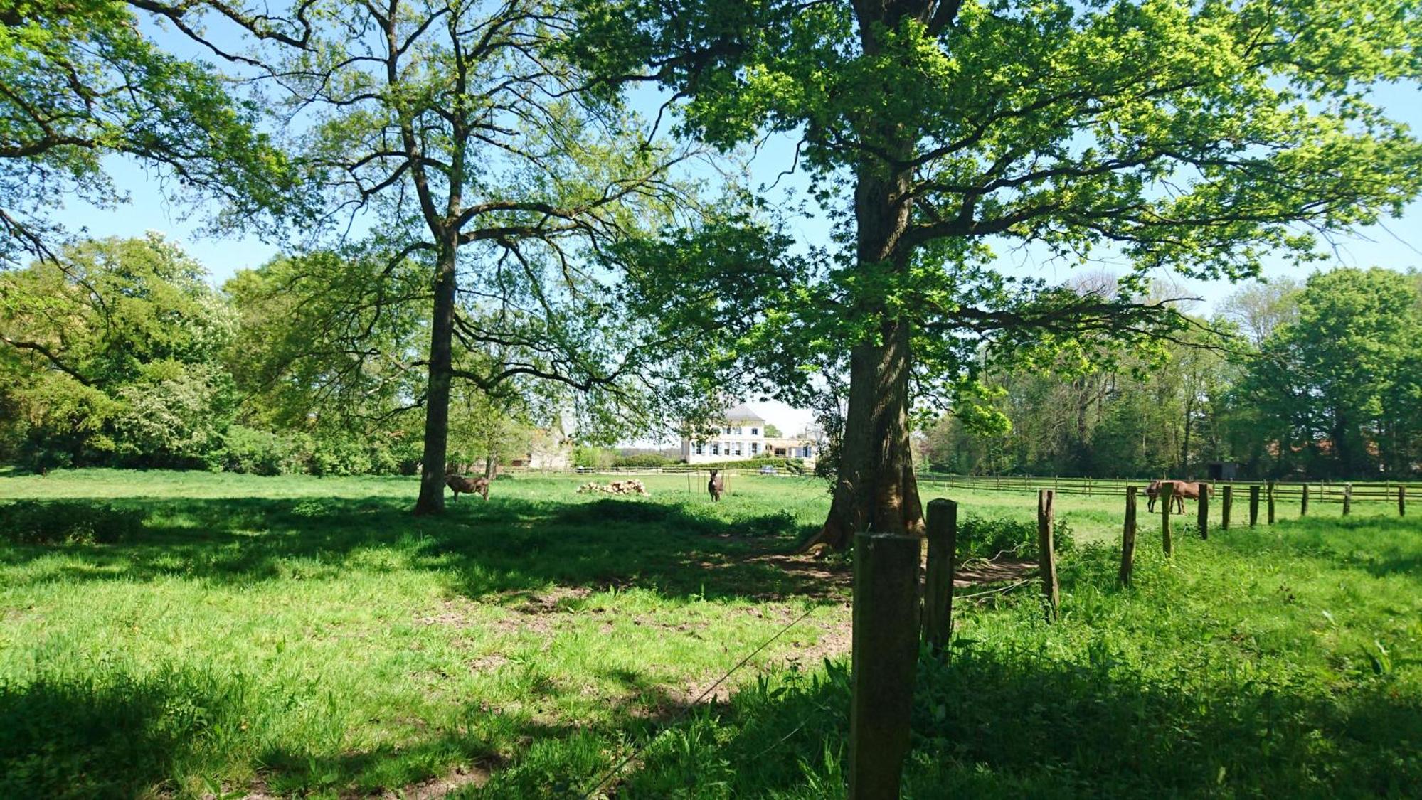 B&B au petit tambour d'Autingues