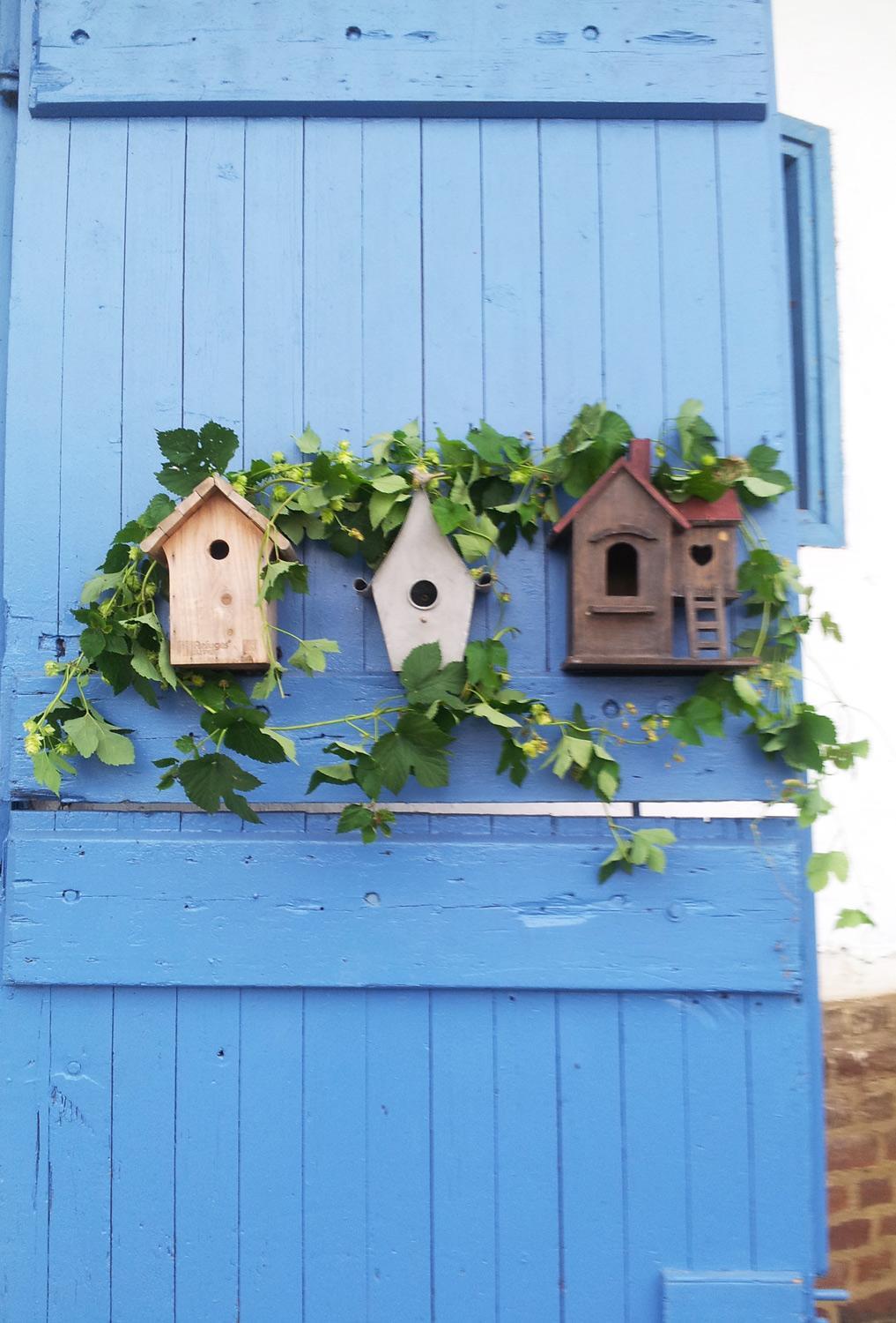 B&B au petit tambour d'Autingues