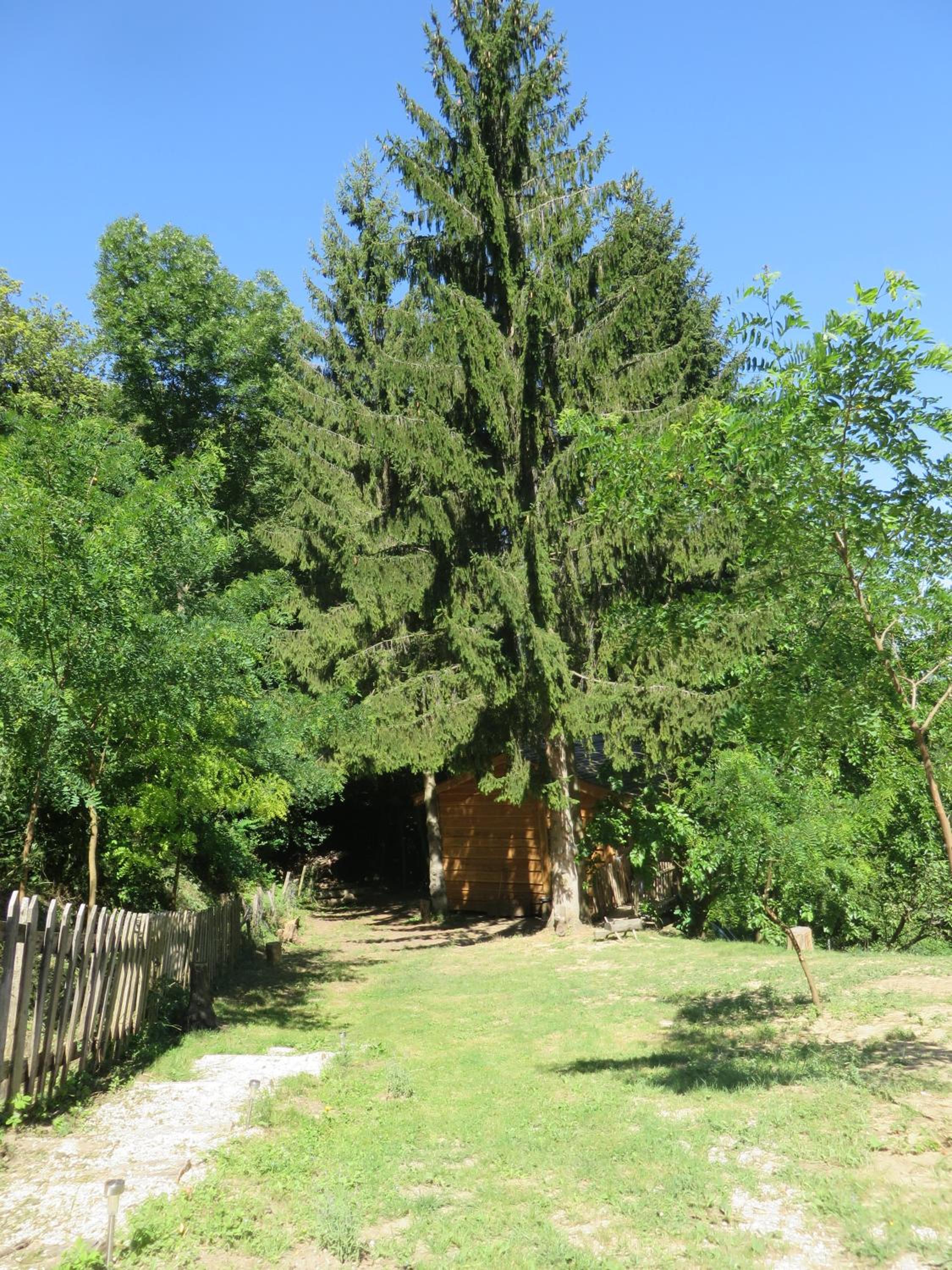 Photo 6