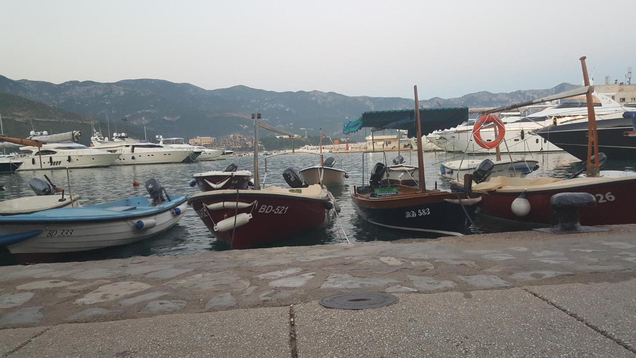 Hotel Hibiscus Guest House - Image 1