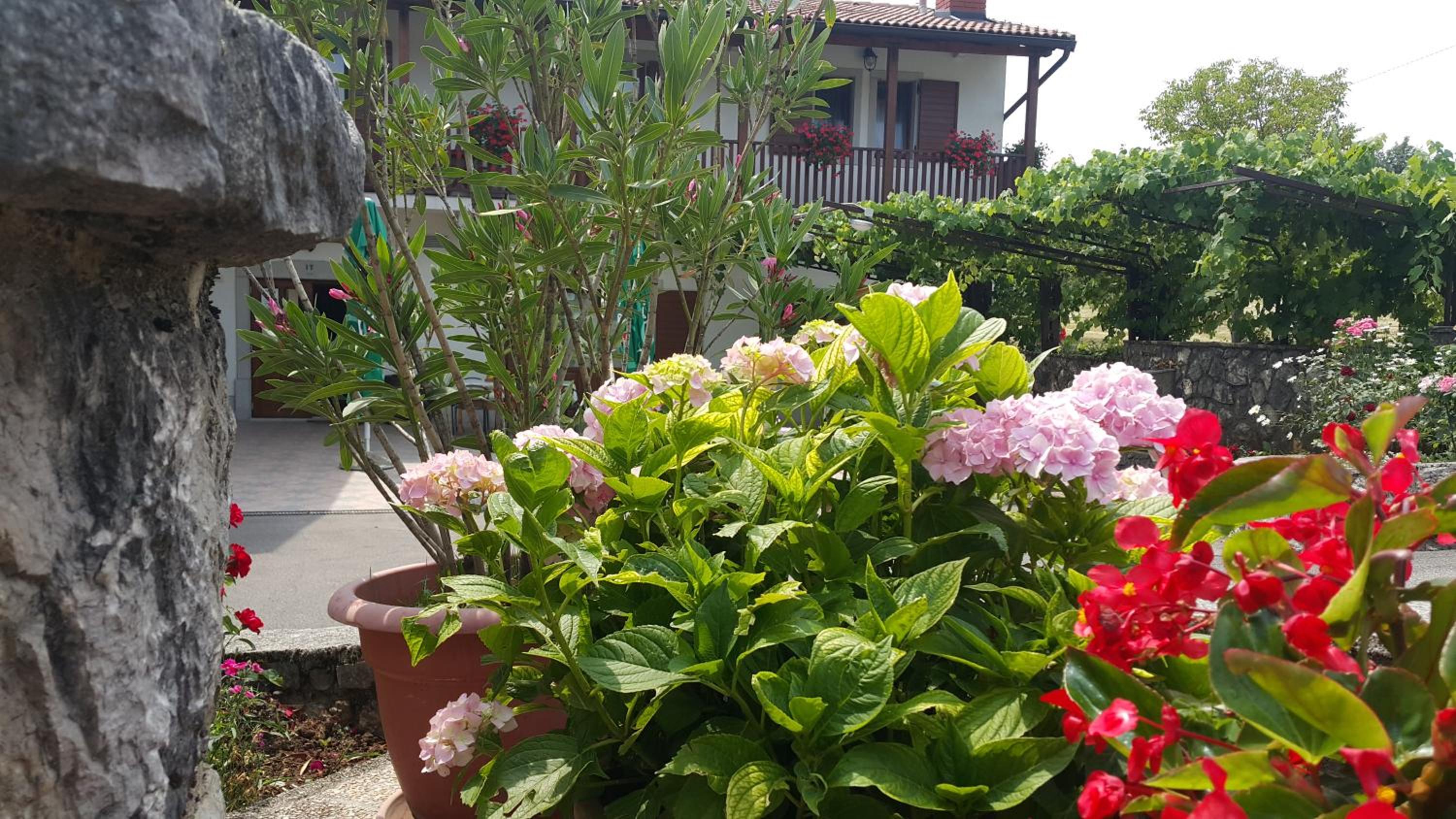 Homestead Vrbin view 5