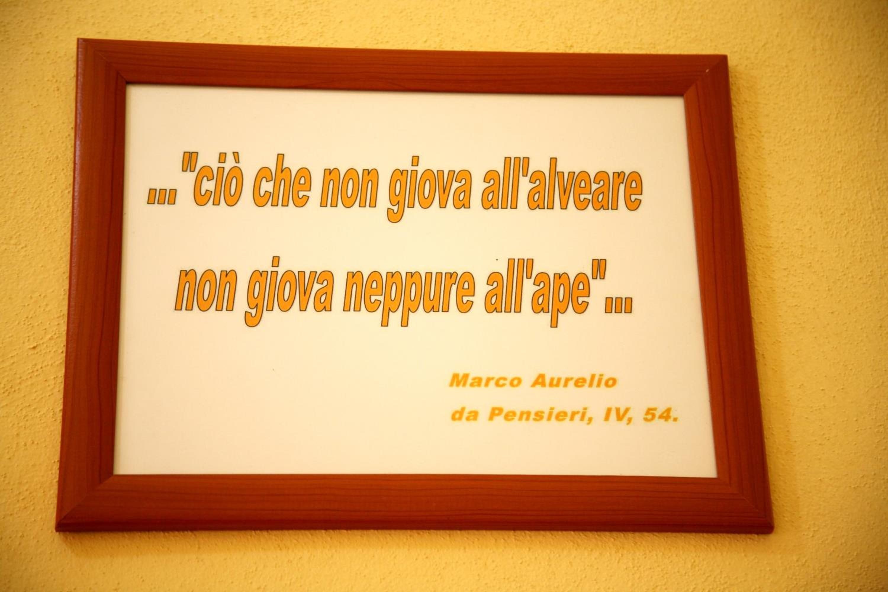 Al Bosco delle Api