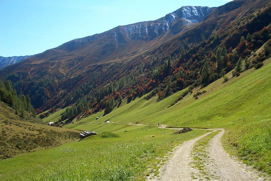 Haus Fürhapter Markus