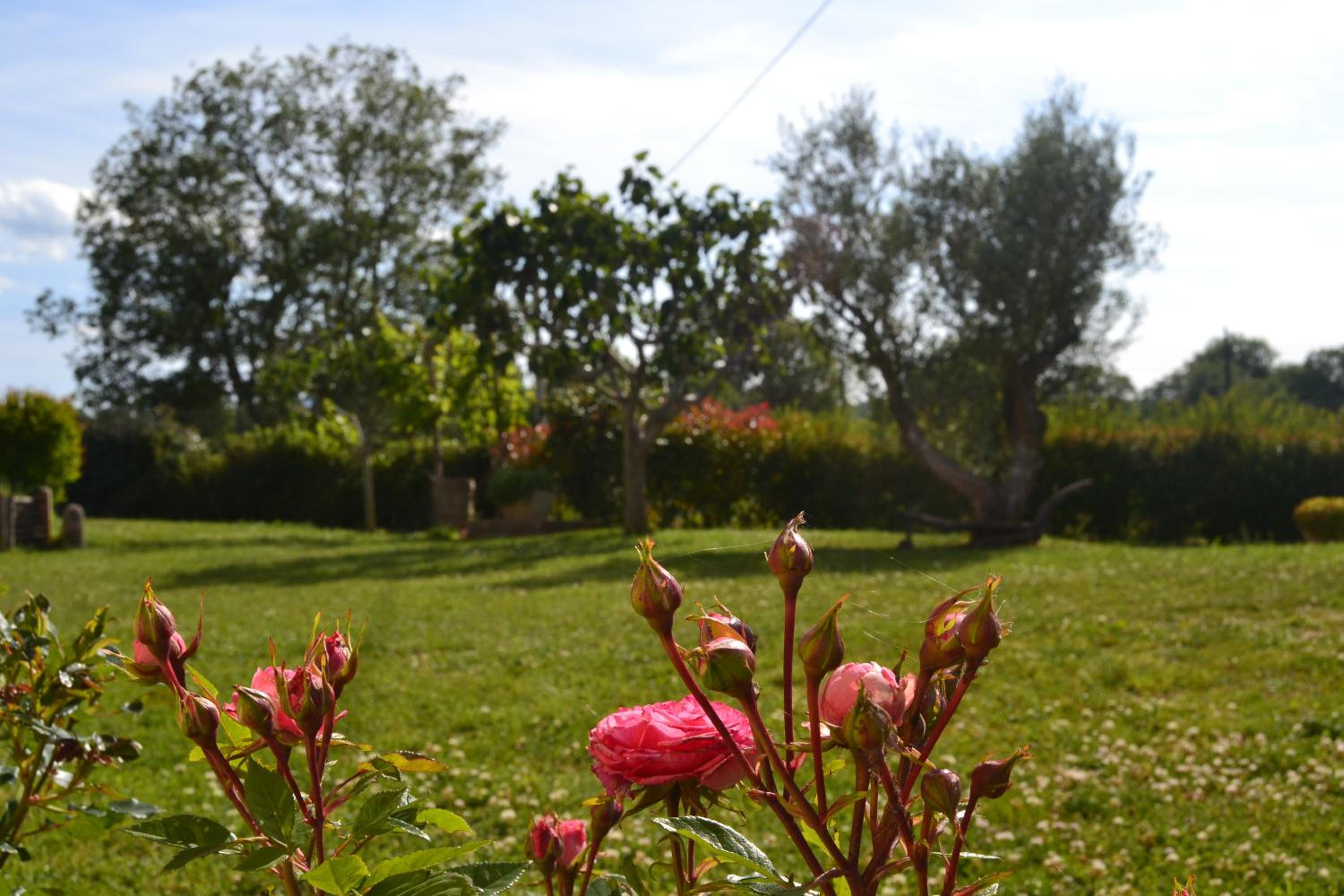 Al Bosco delle Api