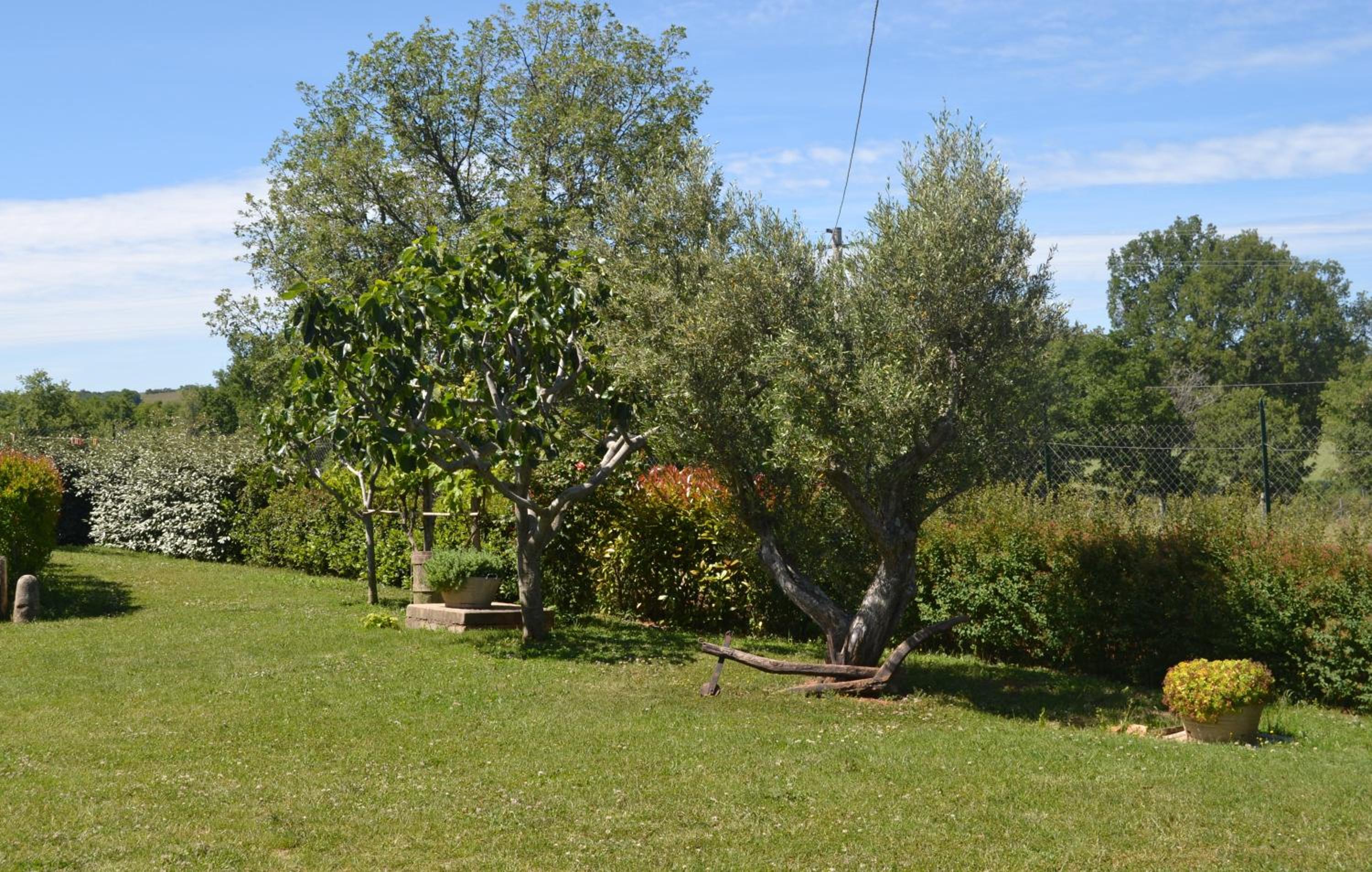 Al Bosco delle Api