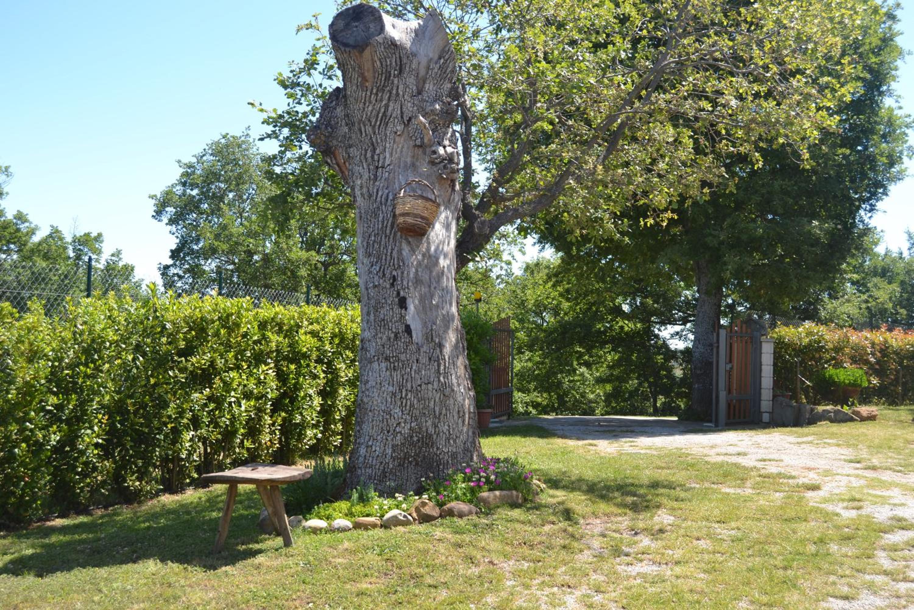 Al Bosco delle Api