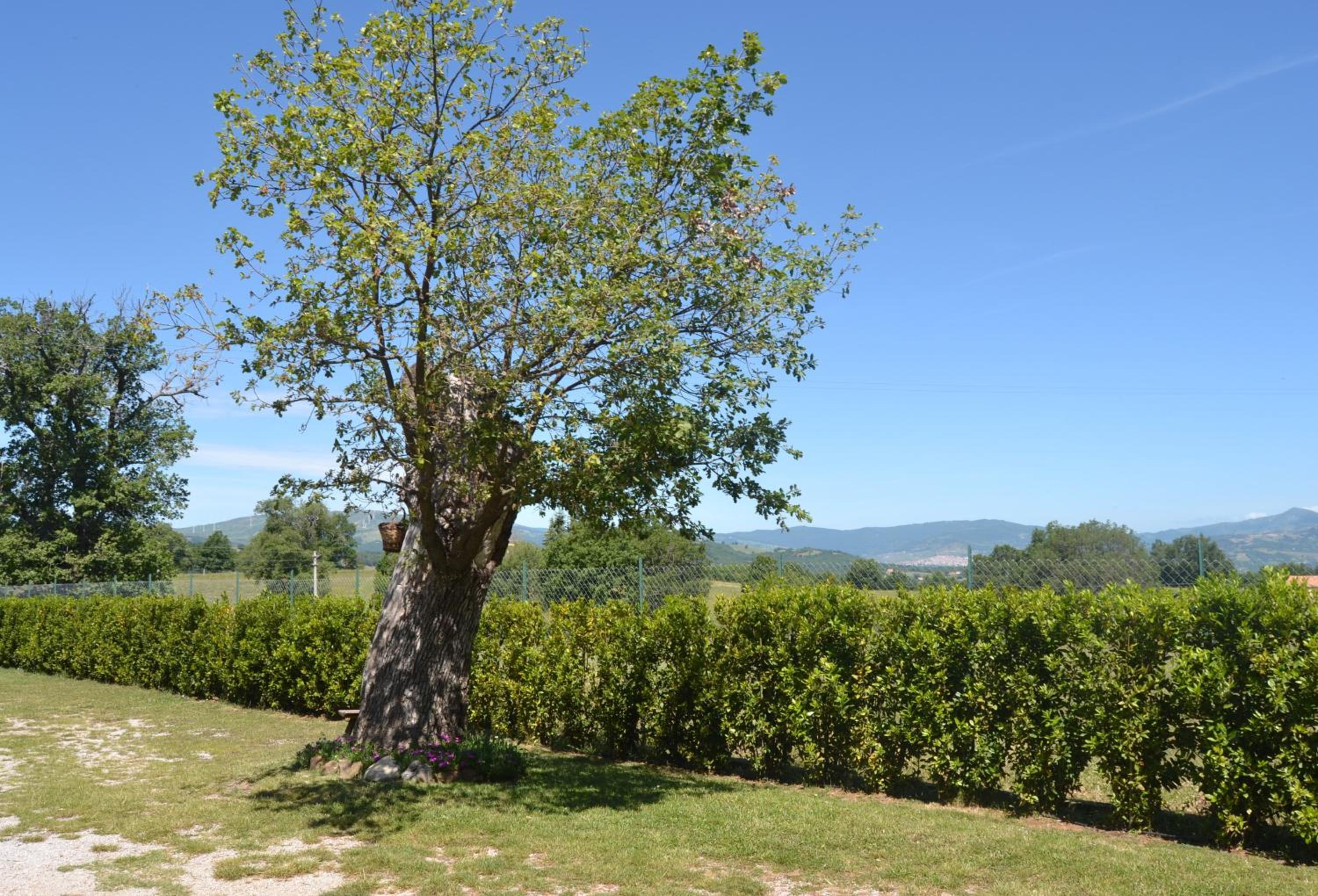 Al Bosco delle Api