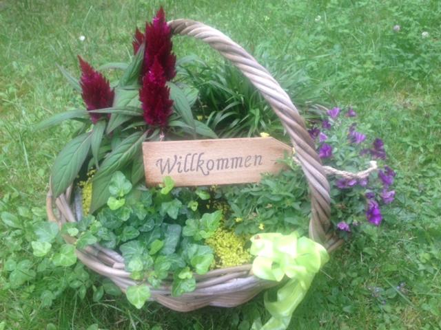 Ferienhaus Braunfels