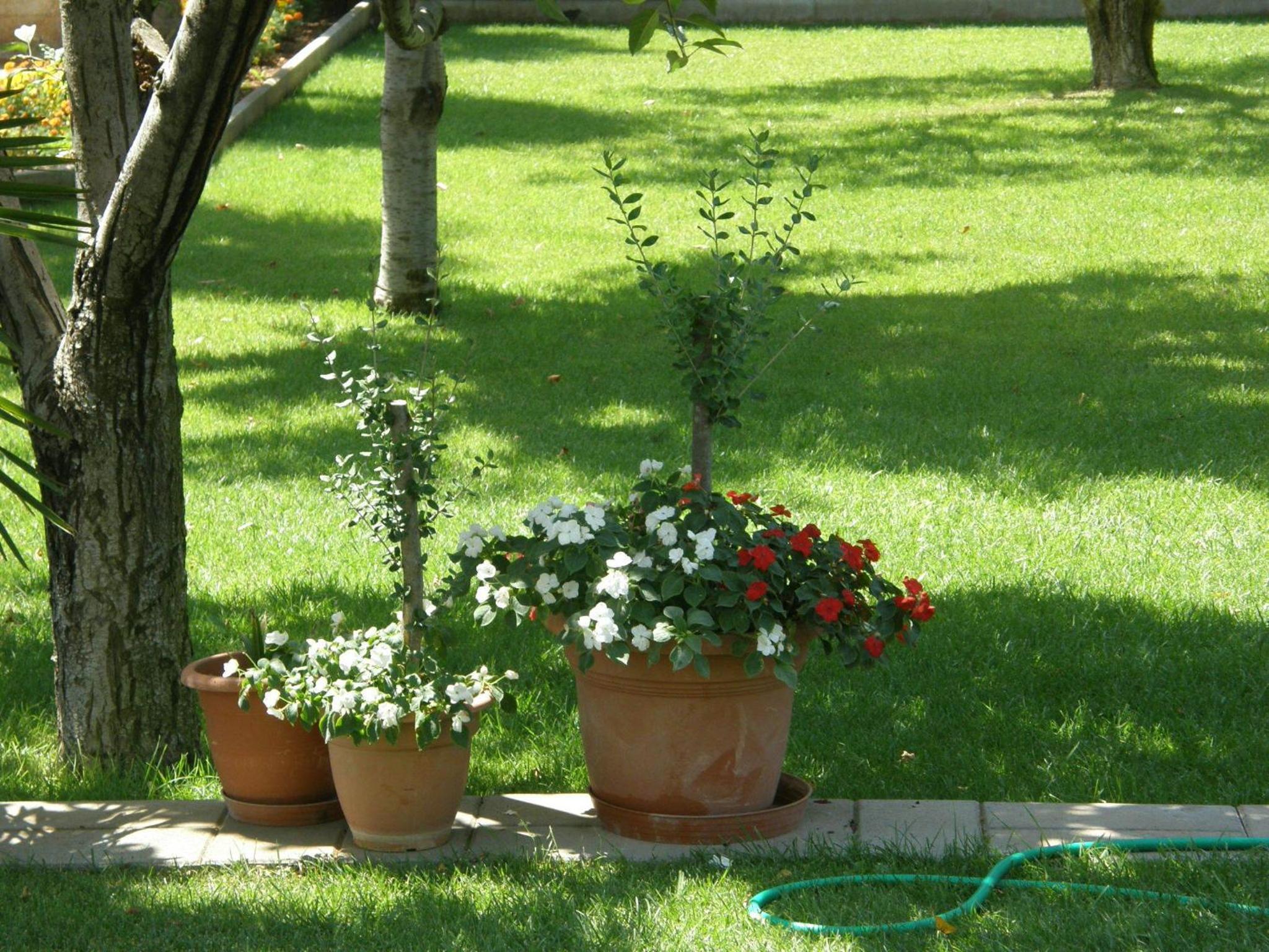Photo 32