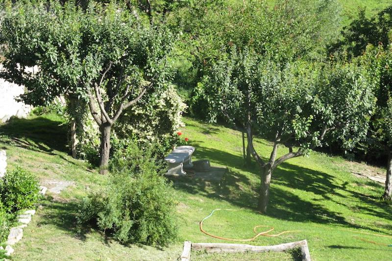 Le Myosotis en Gignod