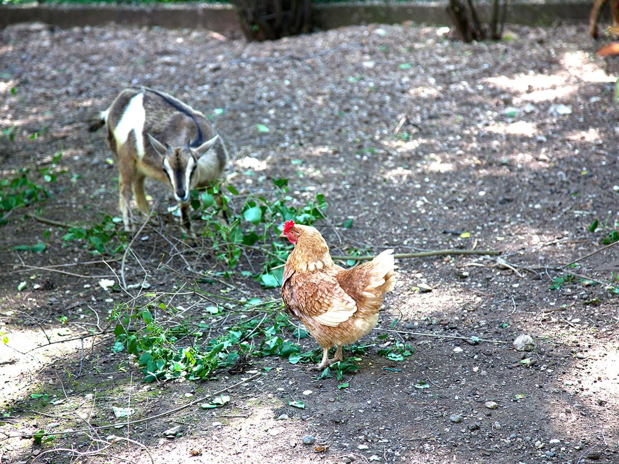 Photo 32