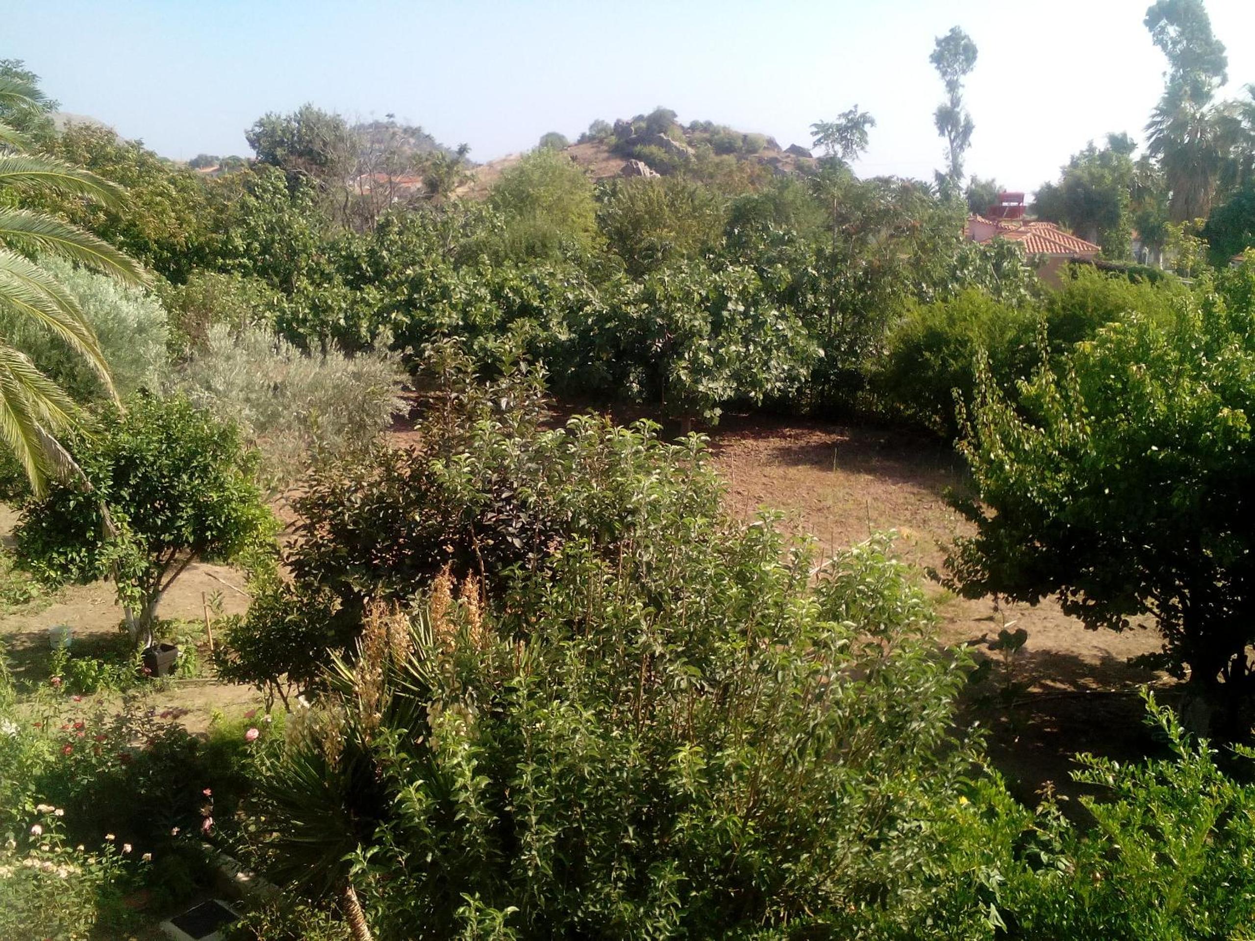 Photo 15
