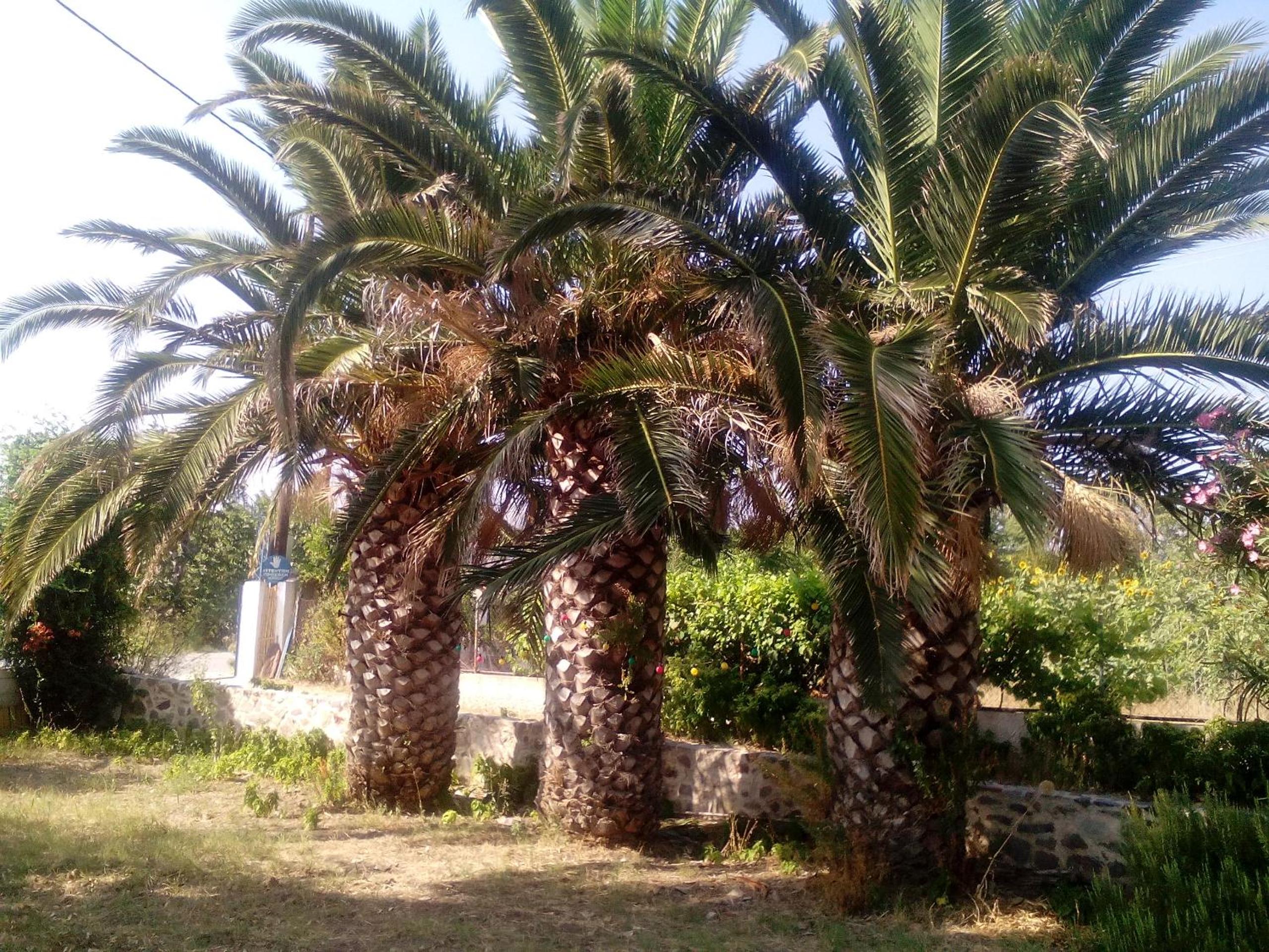 Guesthouse Karidia view 4