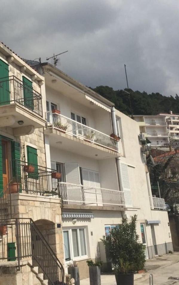 Apartments Zamicka