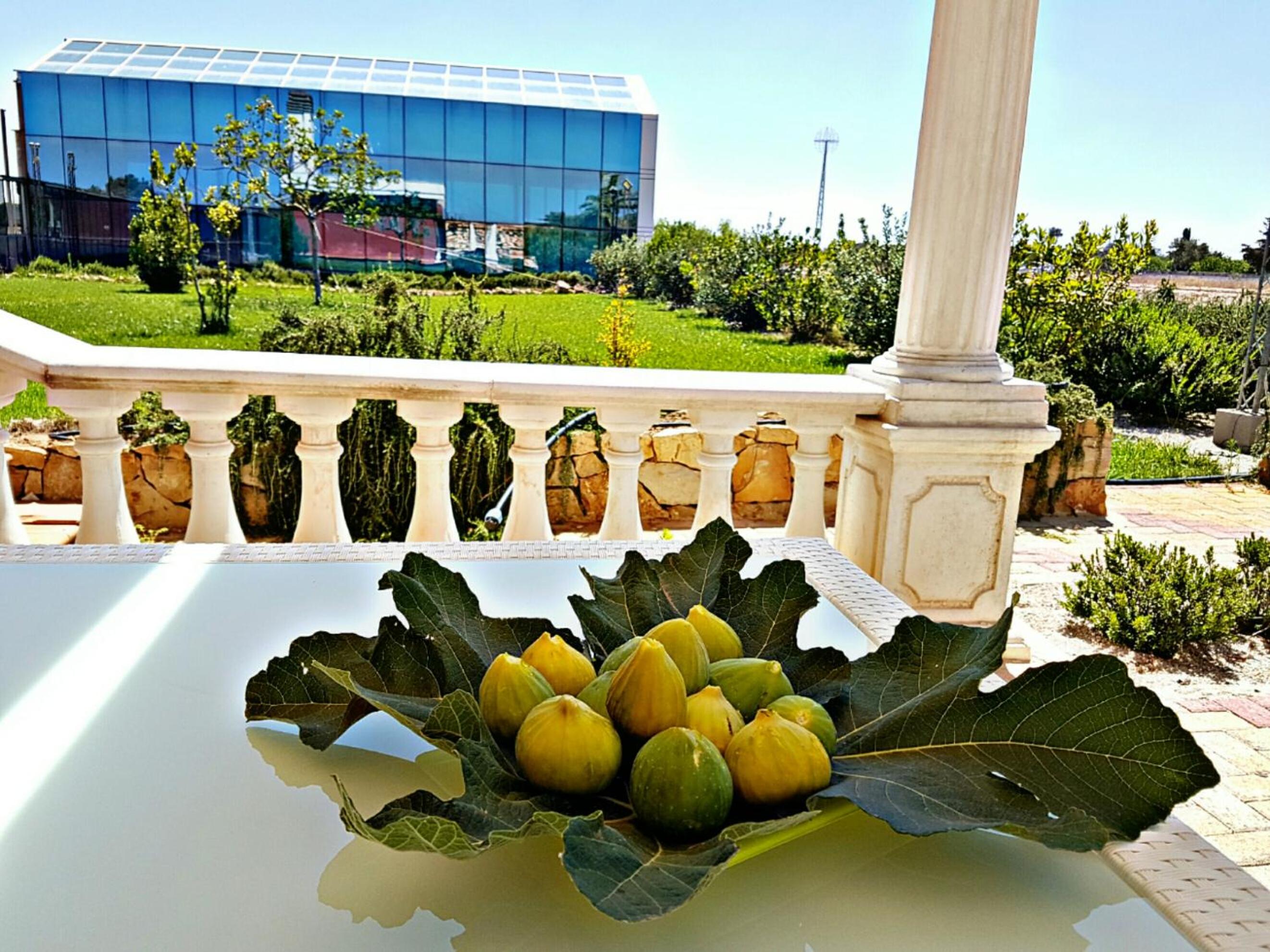 Tenuta Casine Vittorio