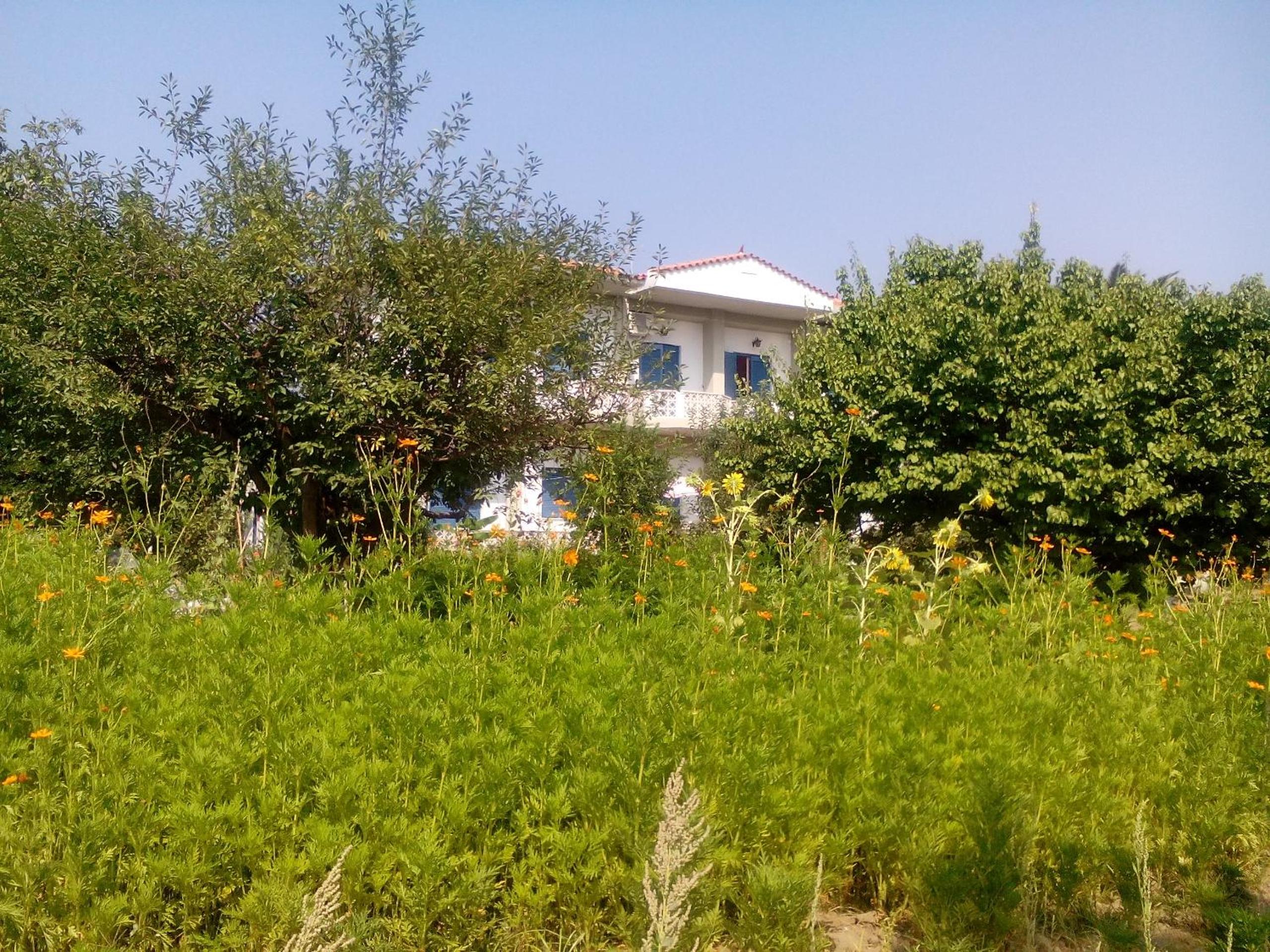 Guesthouse Karidia view 2