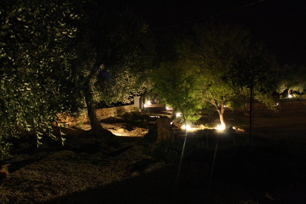 Photo 30