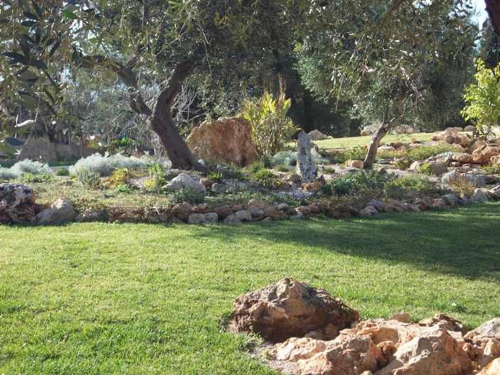 Photo 57